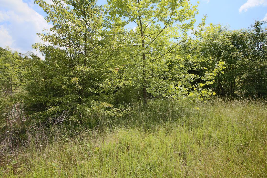 000 Arrowhead Acres Property Photo 13
