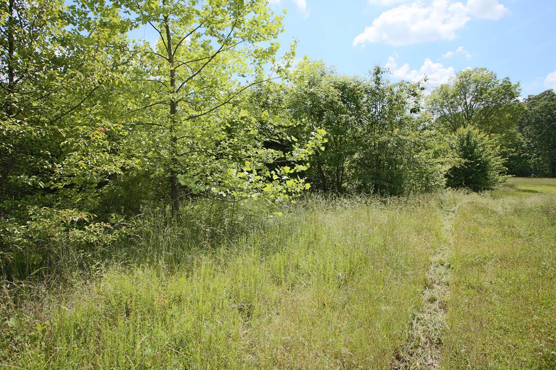 000 Arrowhead Acres Property Photo 14