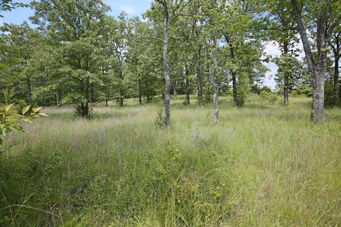 000 Arrowhead Acres Property Photo 15