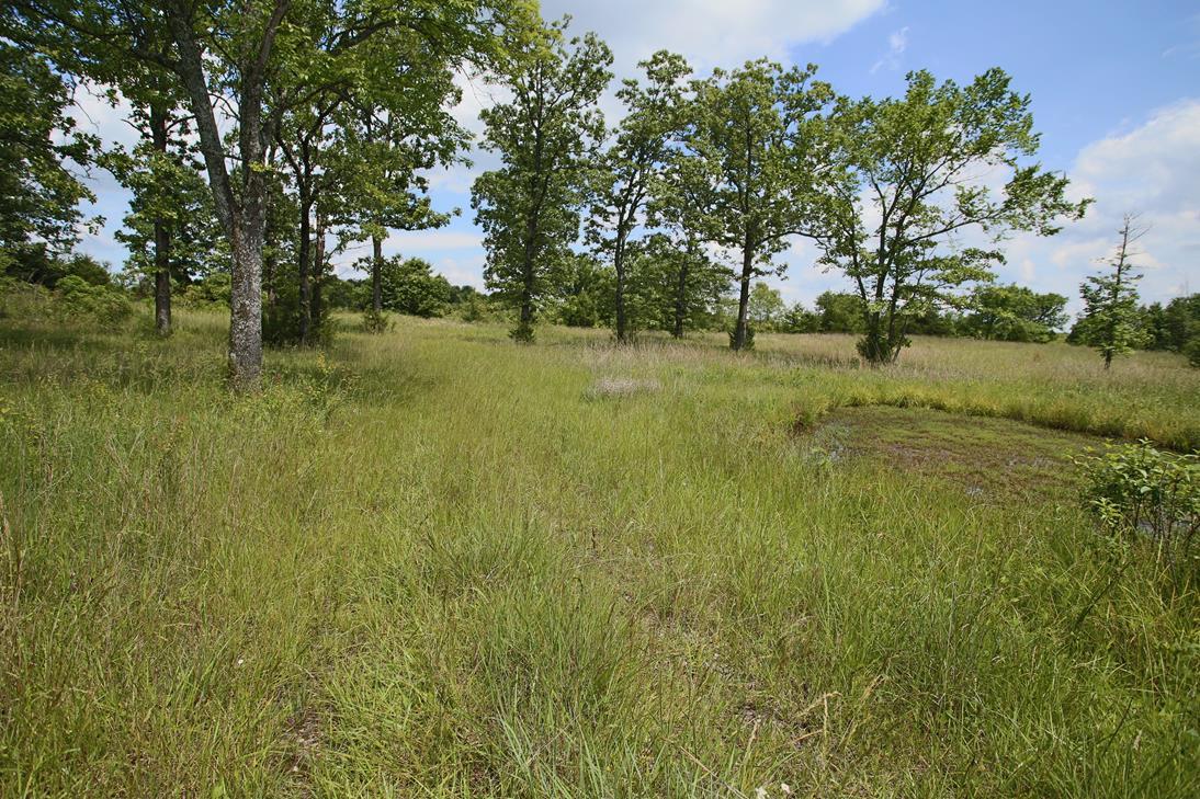 000 Arrowhead Acres Property Photo 16