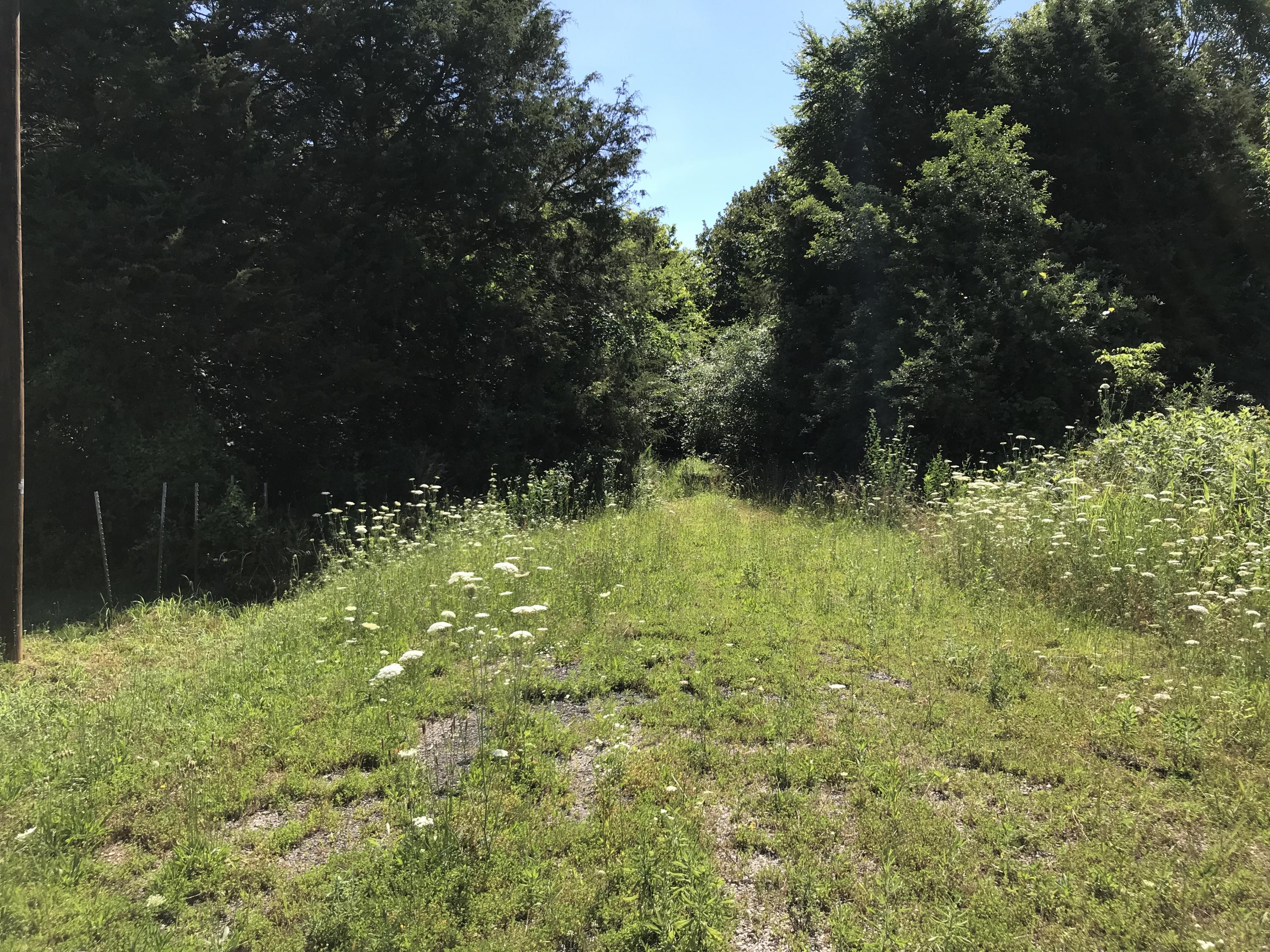 000 Farm Rd 1268 Property Photo 1