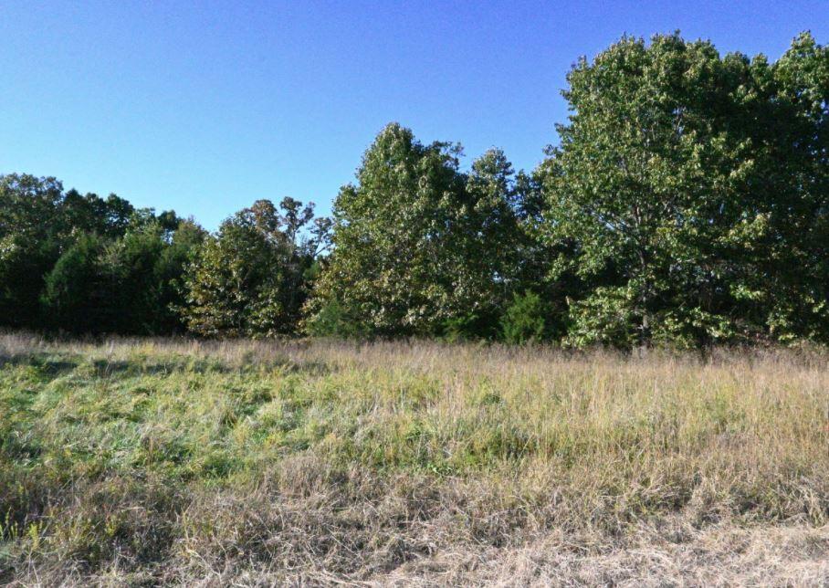 Lot 6 Stoney Point Circle Property Photo 2