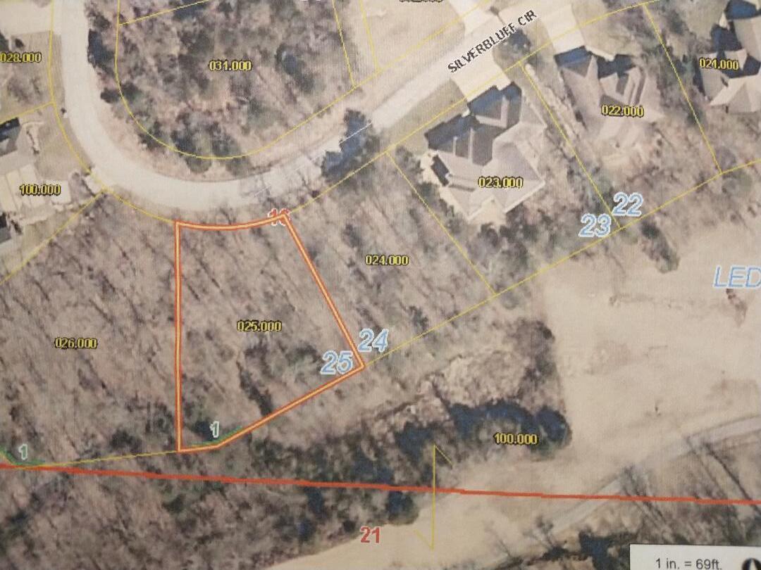 909 Silver Bluff Circle Property Photo 2