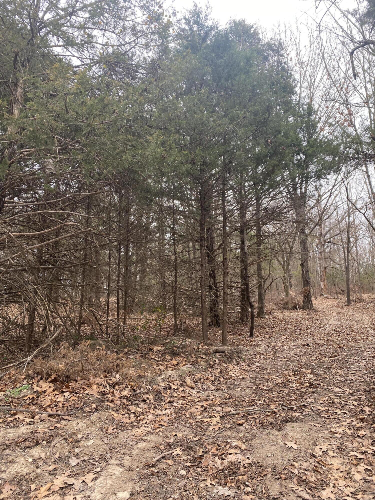 Lot 1 Hunter Lane Property Photo 13