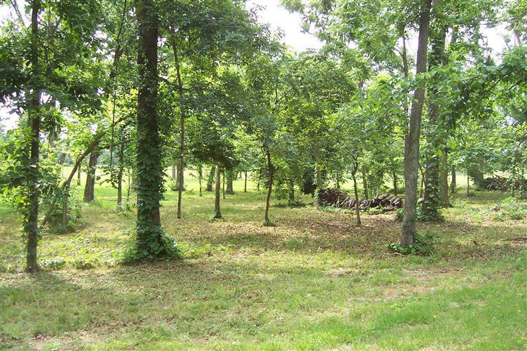 Lt 3 Lawrence 2126 Property Photo 15
