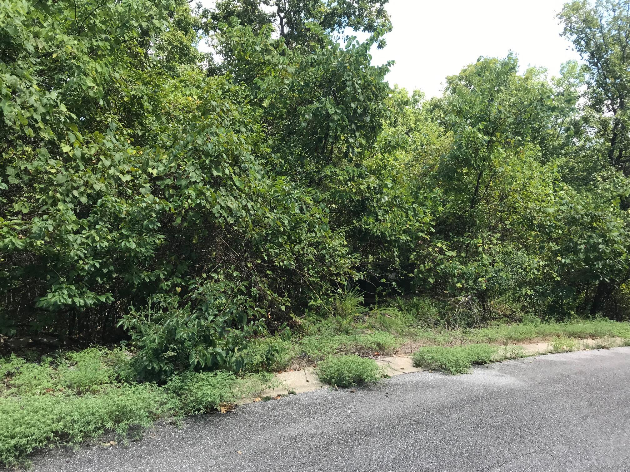 9 Lots Emerald Pointe Property Photo 1