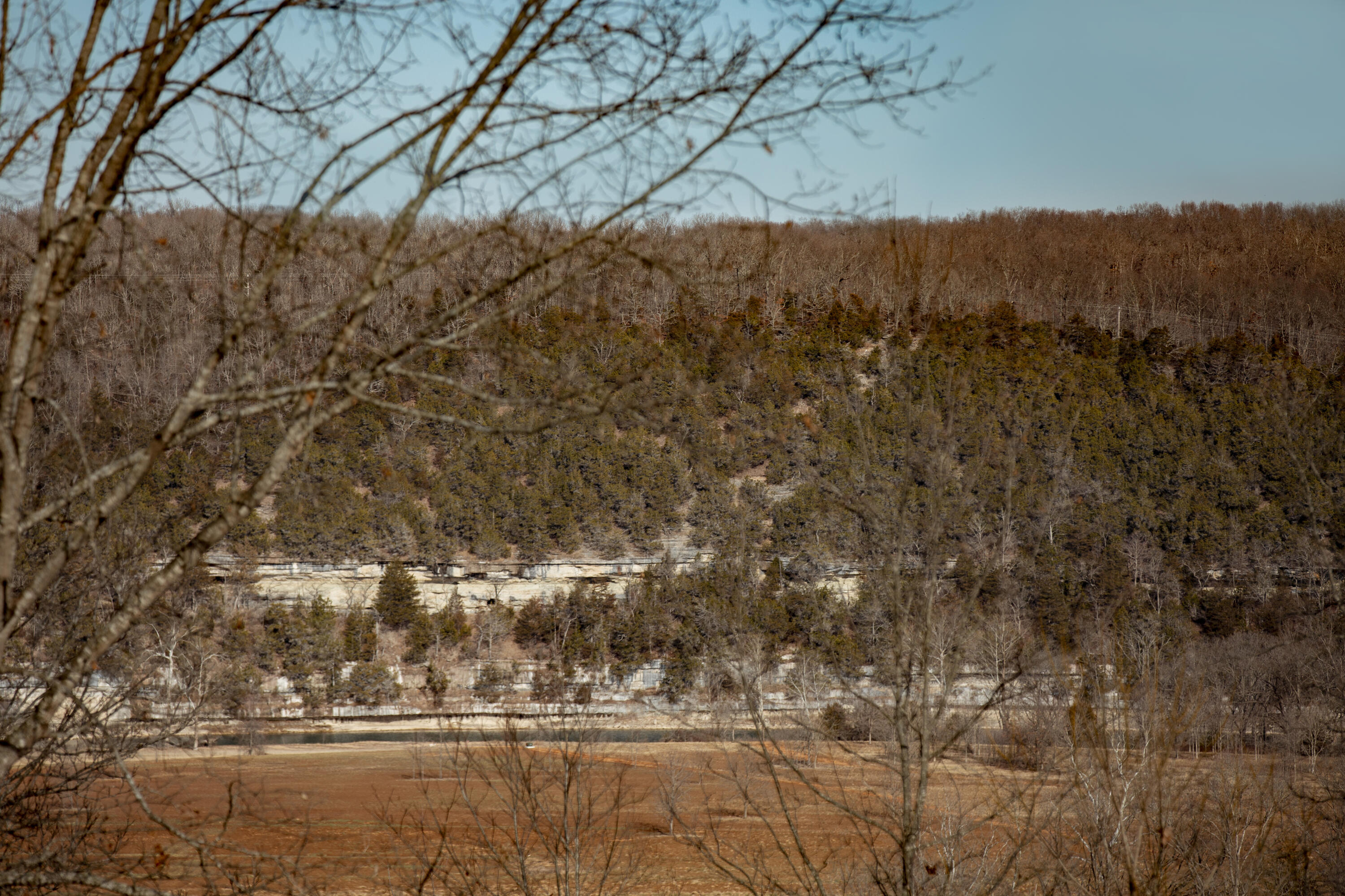 Lot 203 Lone Oak Drive Property Photo 5