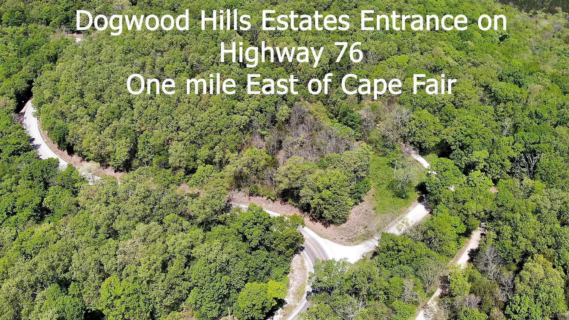 Tracts 1-3 Dogwood Hills Estates Property Photo 2