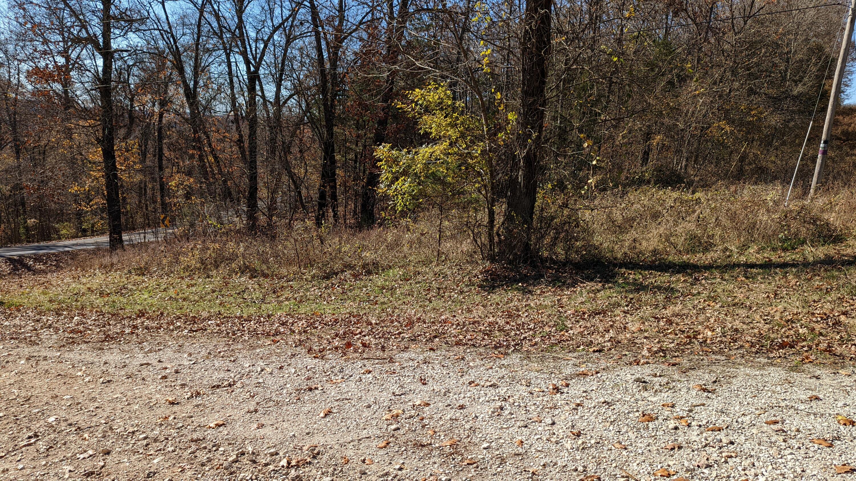 Tracts 1-3 Dogwood Hills Estates Property Photo 5
