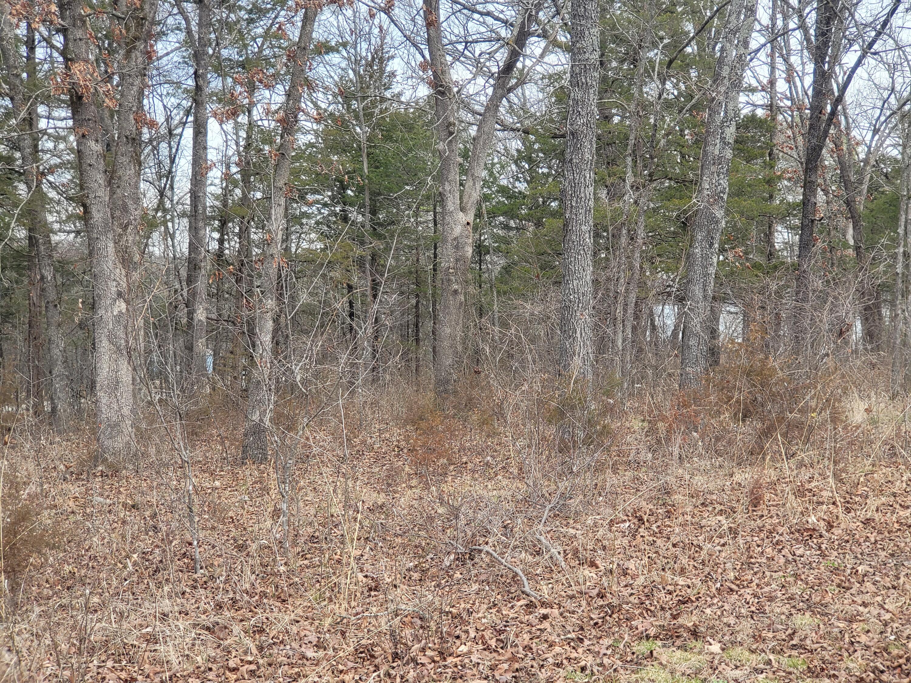 Lot 33 Eagles Point Property Photo