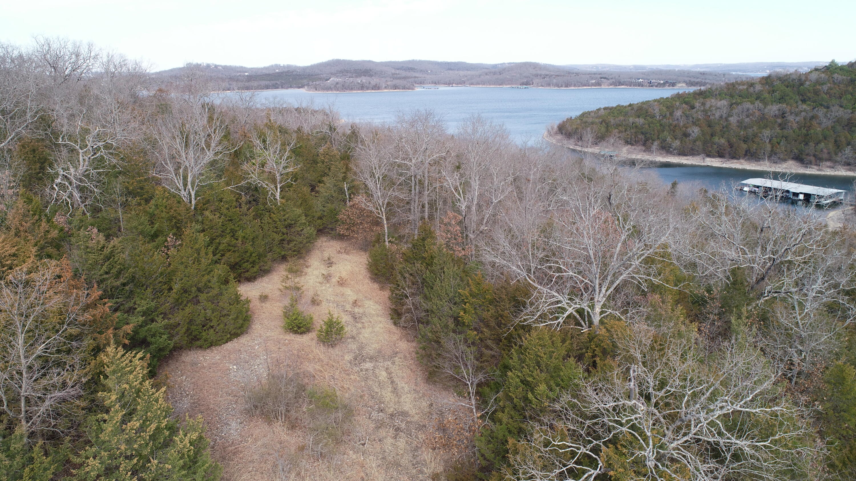 Lots 1 & 2 Deer Lick Acres Hamby Lane Property Photo 2
