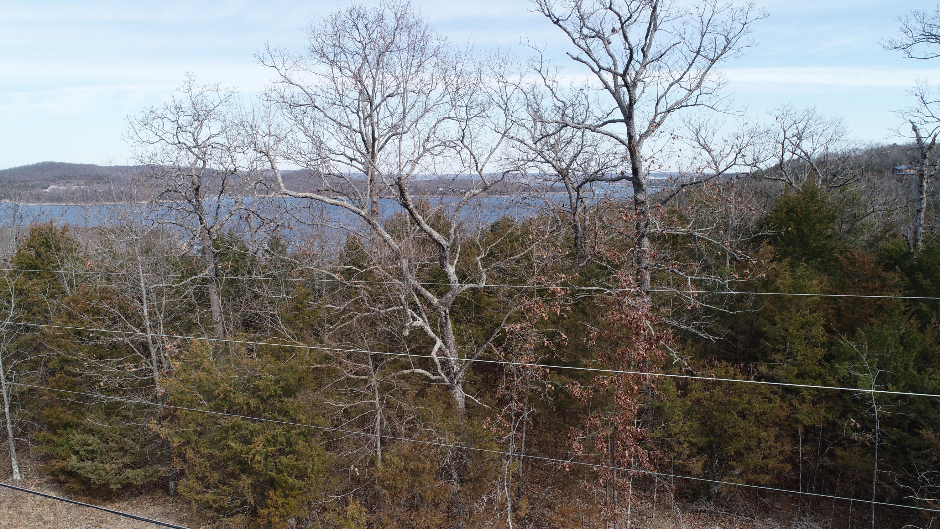 Lots 1 & 2 Deer Lick Acres Hamby Lane Property Photo 8