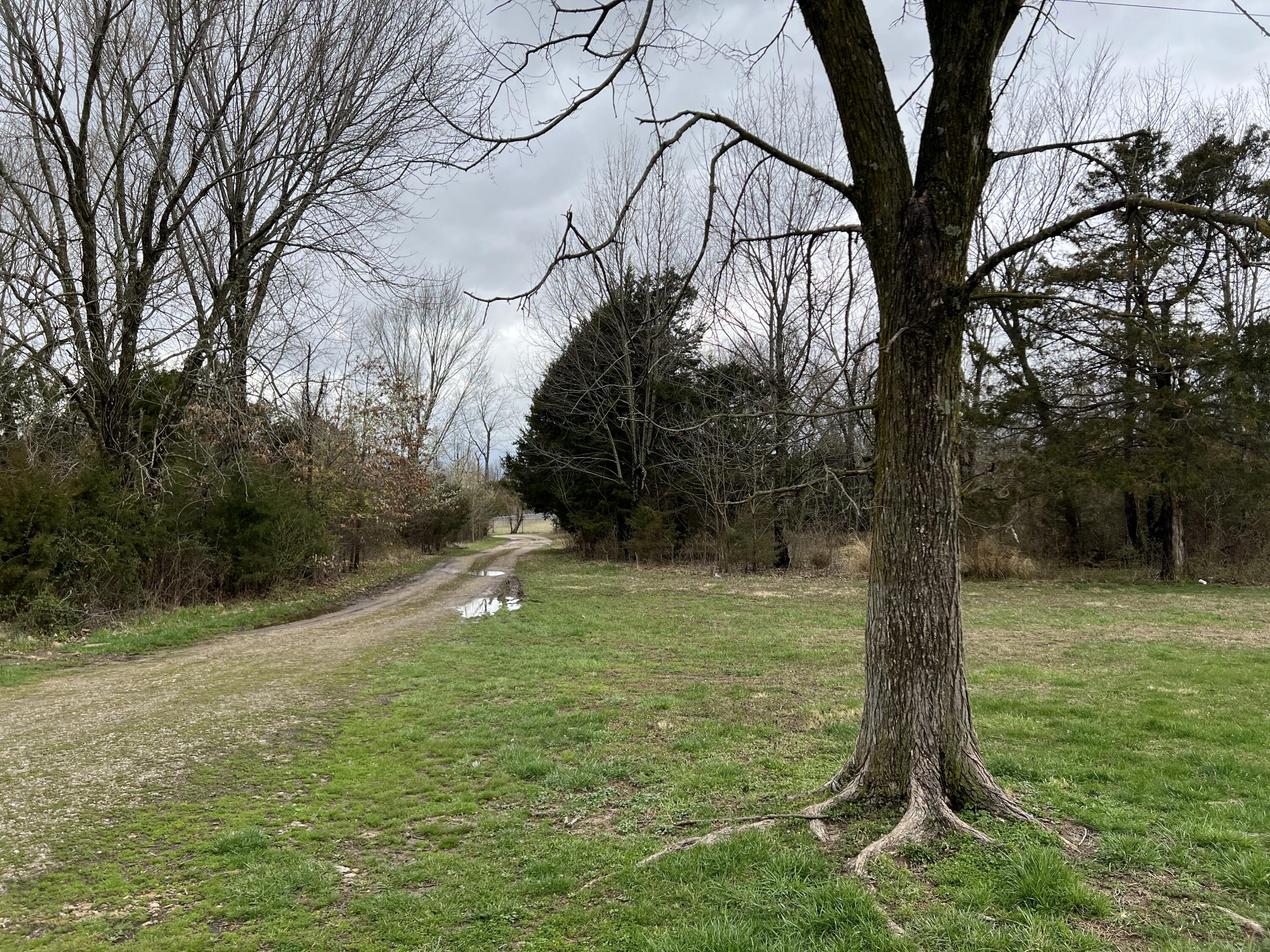 26 Glass Trail Property Photo 1