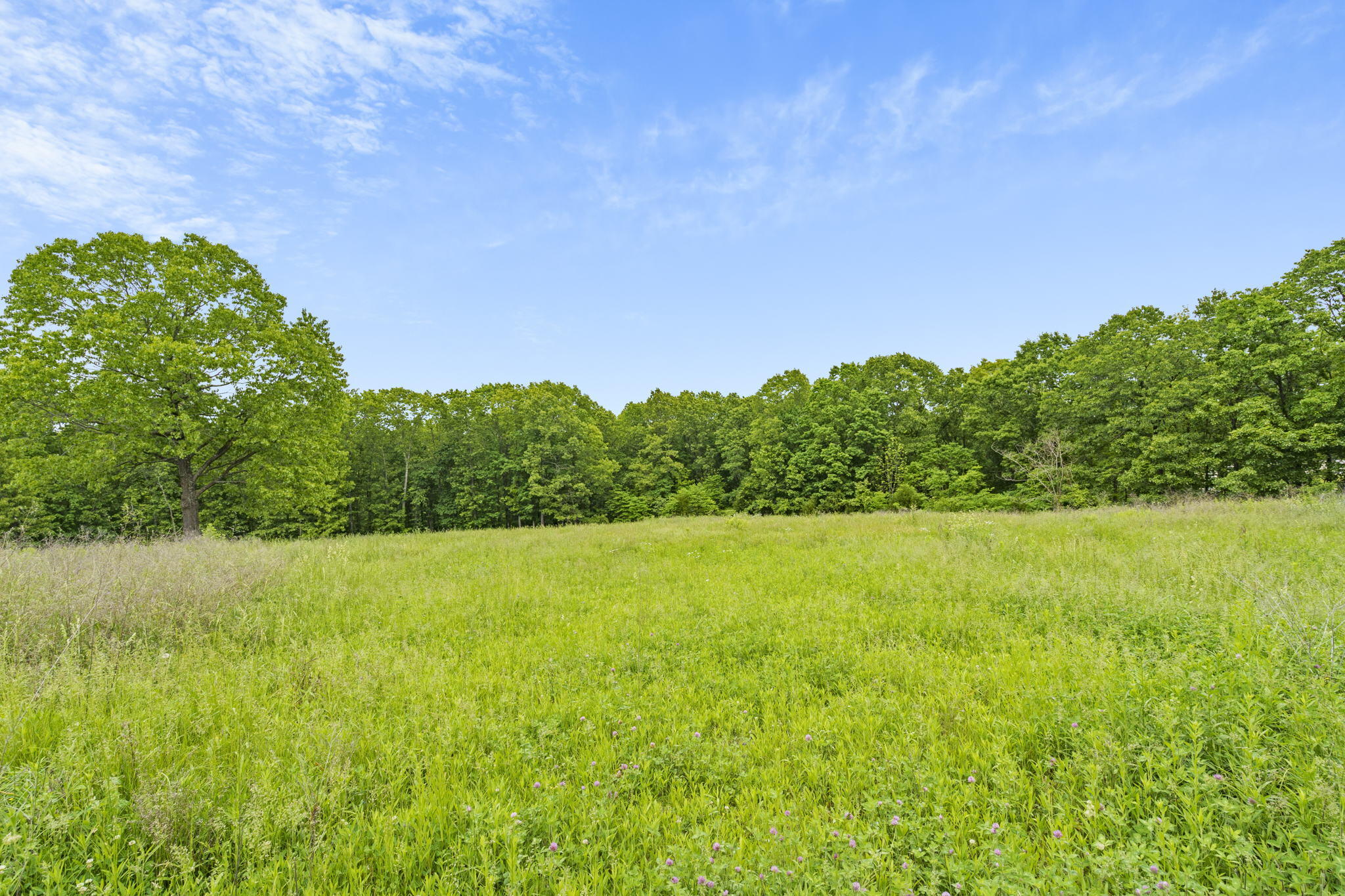 Tbd Lewallen Lane Property Photo 17