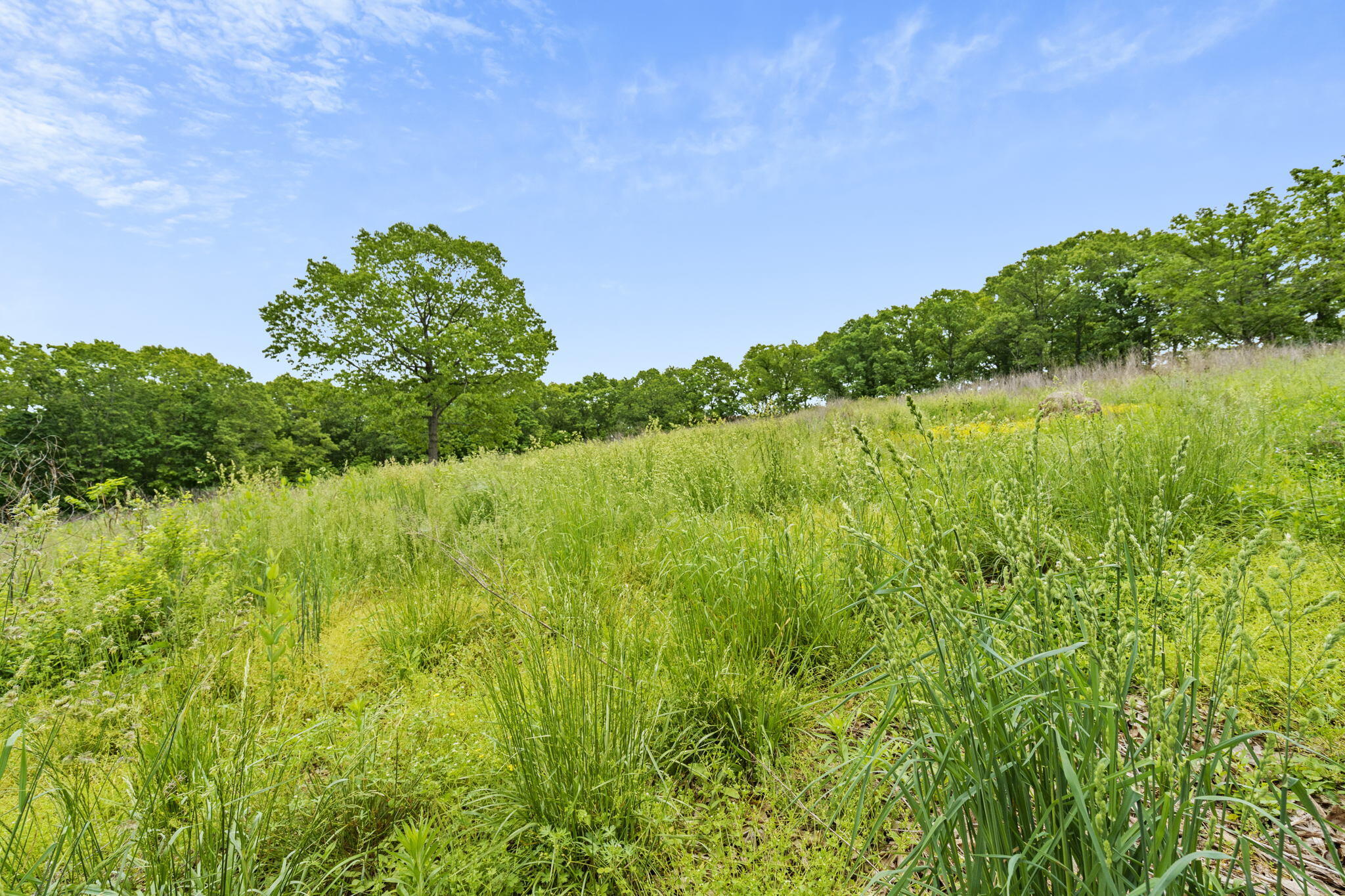 Tbd Lewallen Lane Property Photo 20