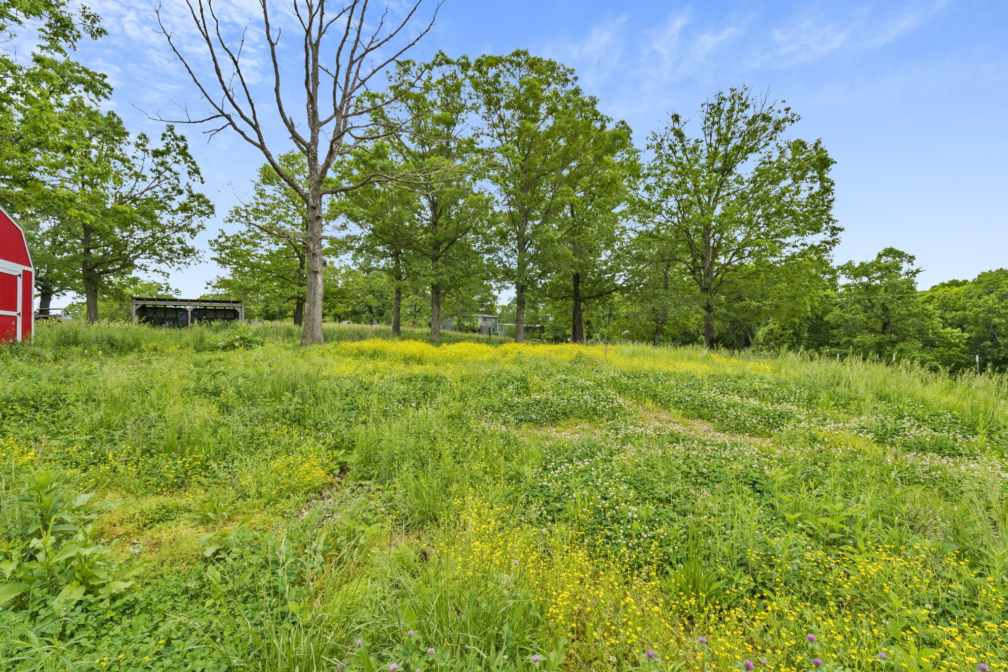 Tbd Lewallen Lane Property Photo 21