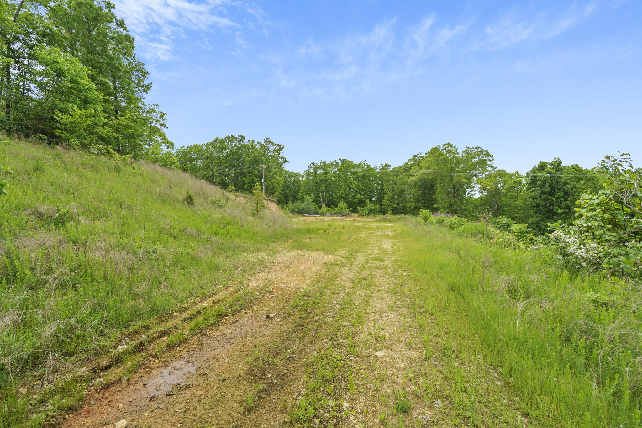 Tbd Crevis Road Property Photo 15