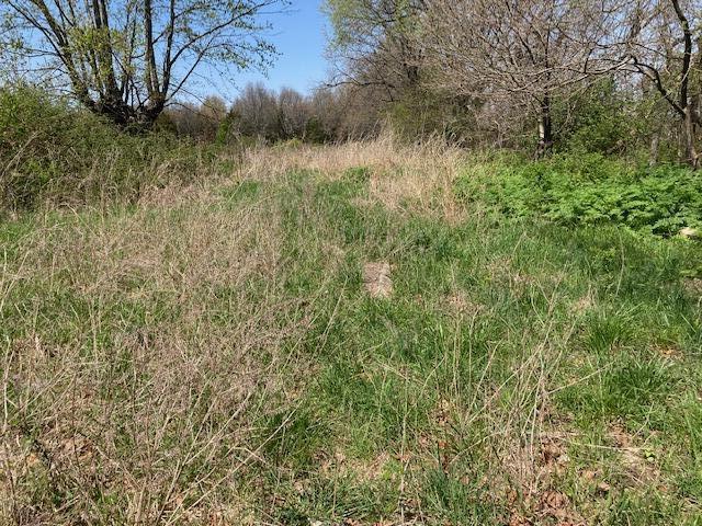 Tbd Banning Court Property Photo 2