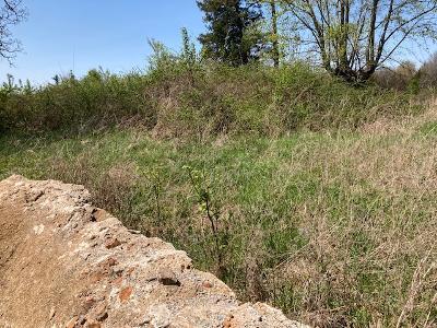 Tbd Banning Court Property Photo 4