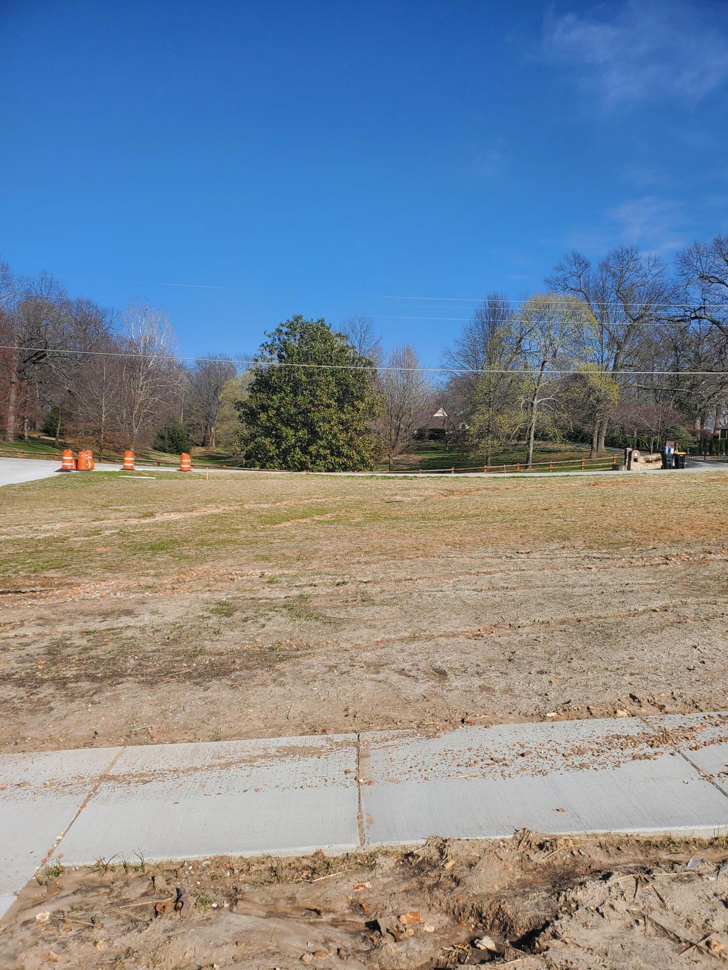 Lot 30 Vintage Pointe Property Photo 1