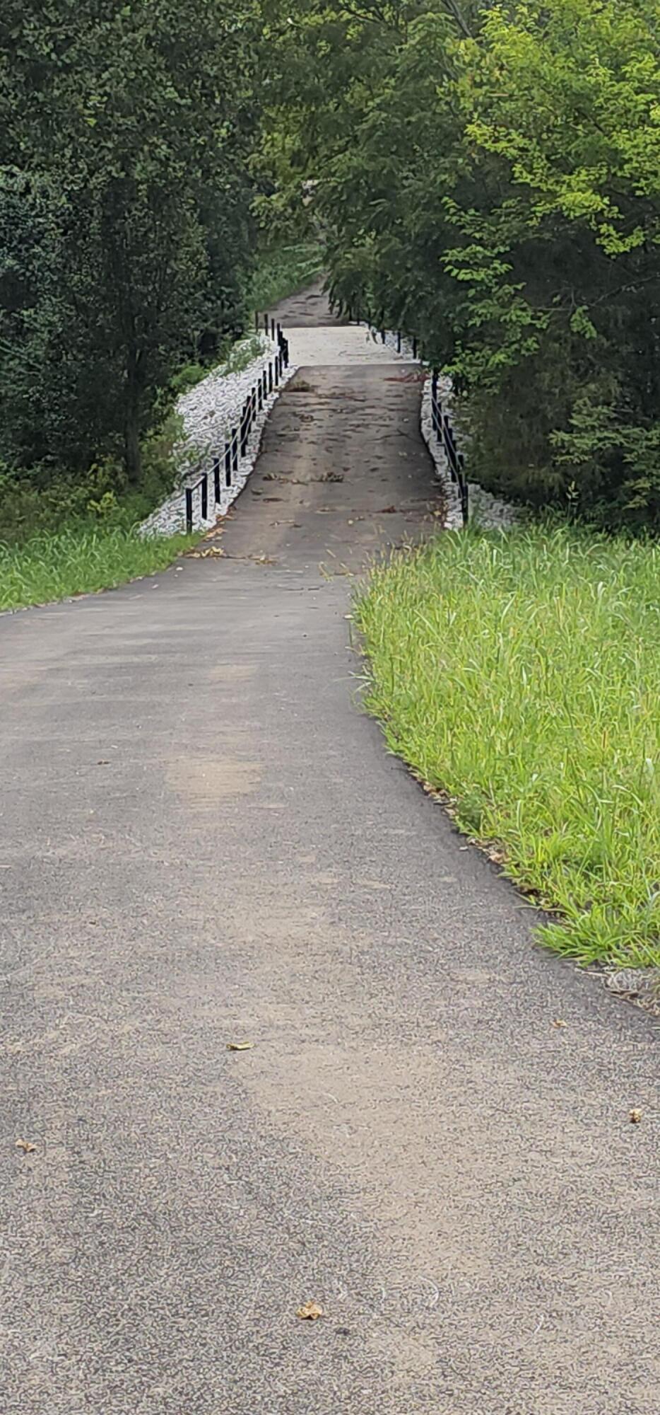 Lot 31 Vintage Pointe Property Photo 3