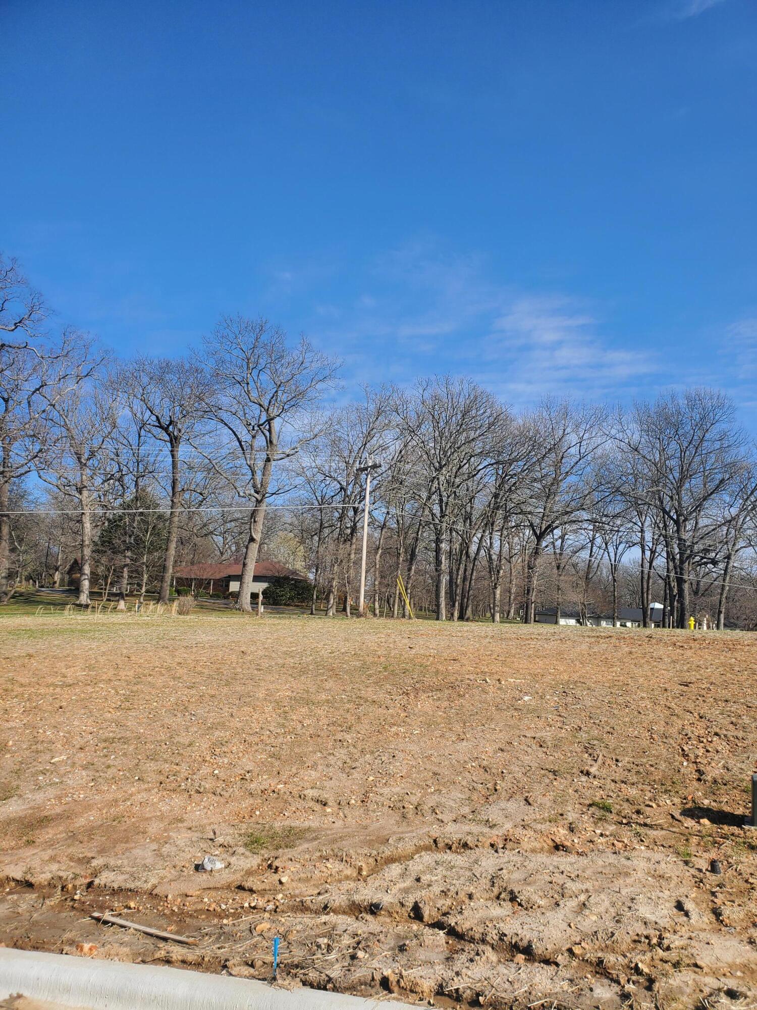 Lot 33 Vintage Pointe Property Photo 1