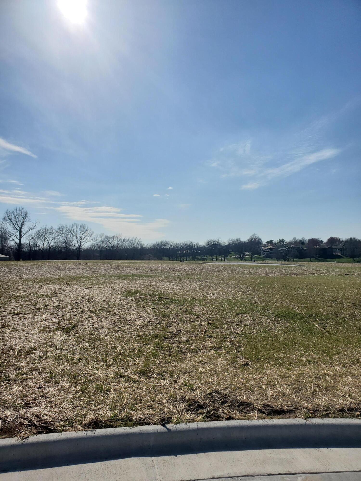 Lot 36 Vintage Pointe Property Photo 2