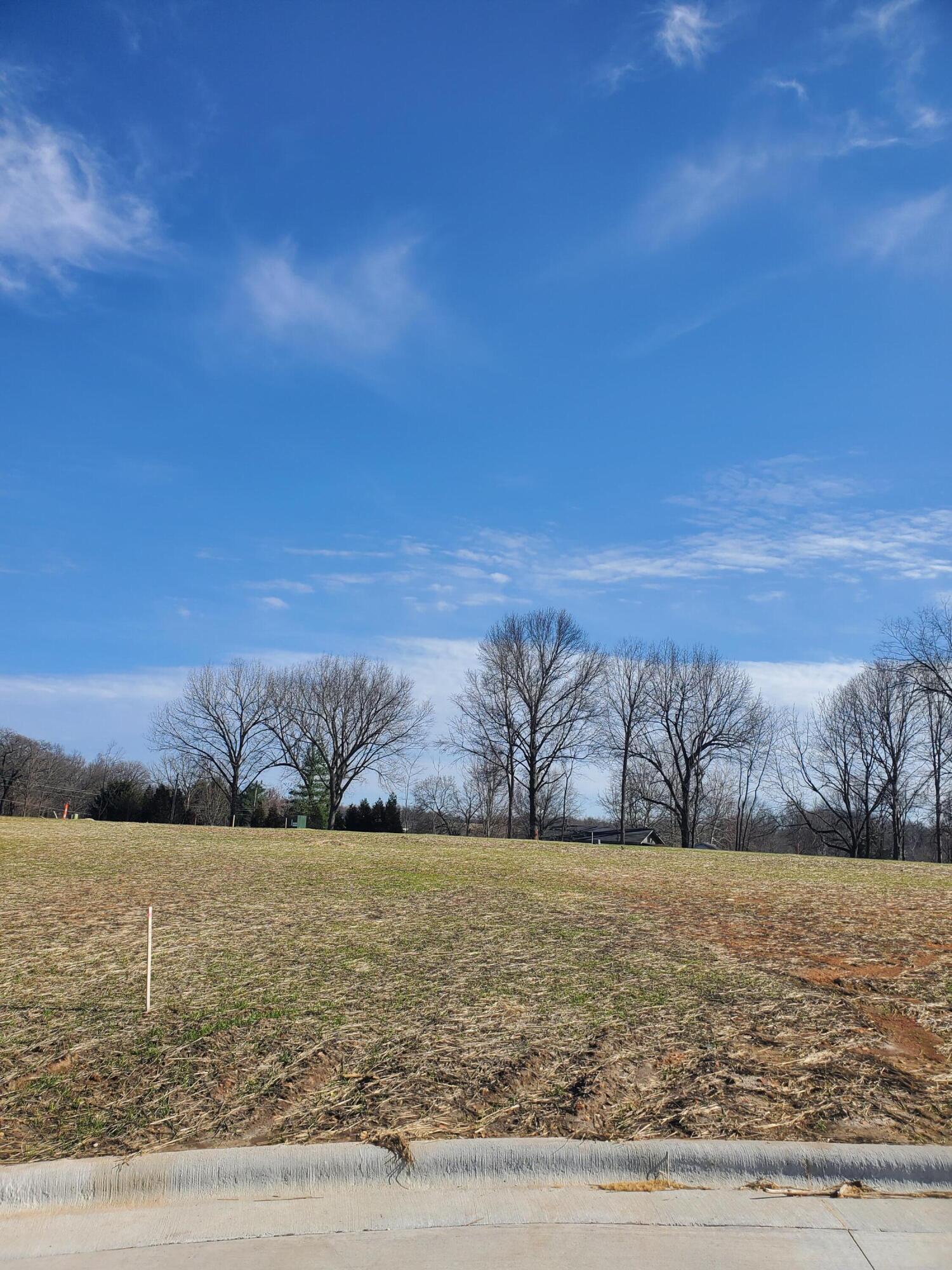 Lot 41 Vintage Pointe Property Photo 1