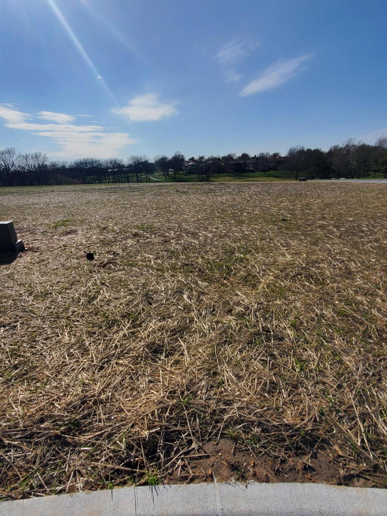 Lot 44 Vintage Pointe Property Photo 1