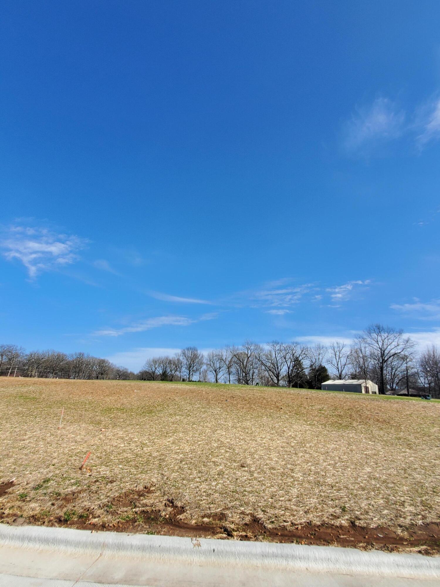 Lot 49 Vintage Pointe Property Photo 1