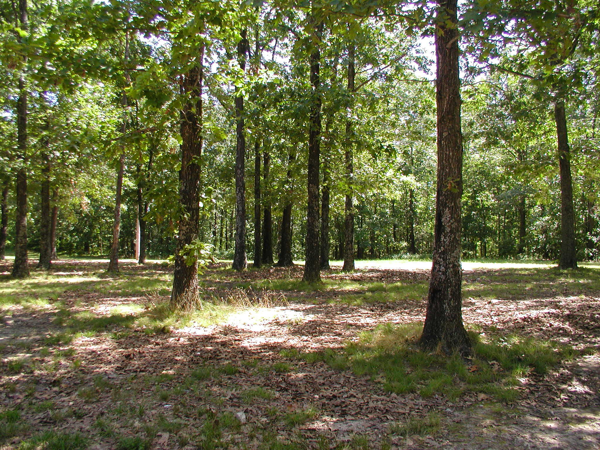 000 Us Highway 160 West Property Photo 3