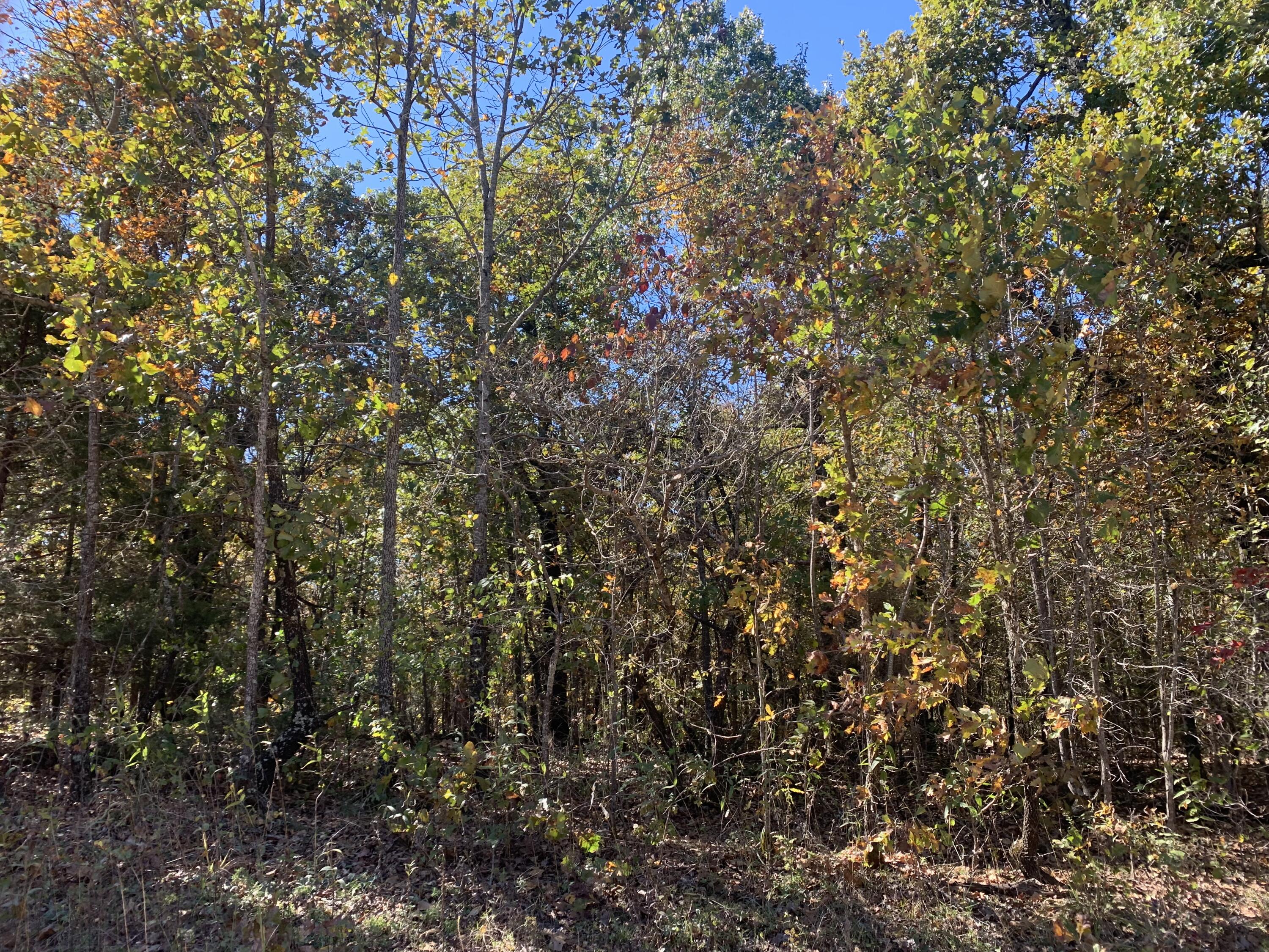 000 Nubbin Ridge Road Property Photo 3