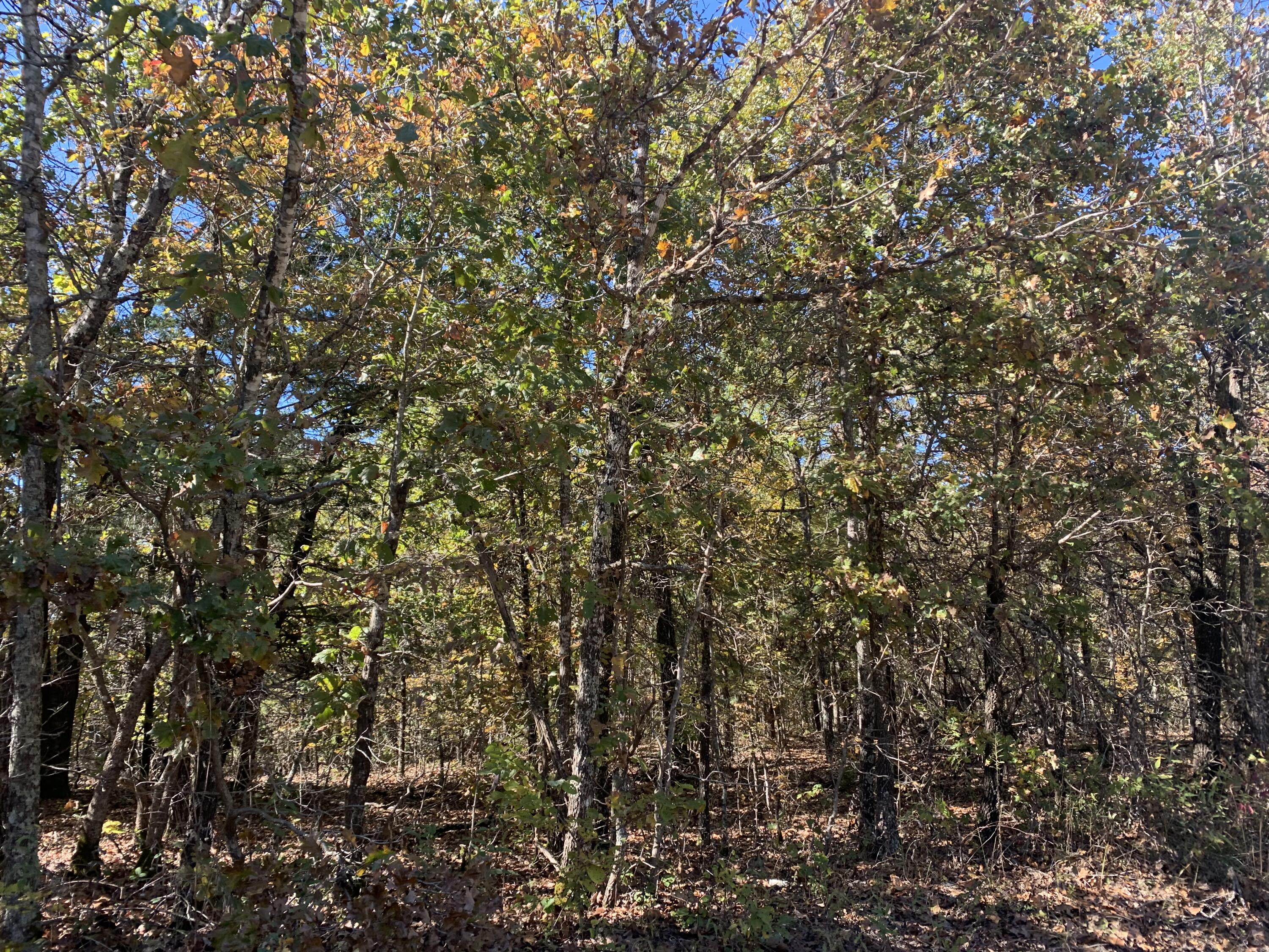000 Nubbin Ridge Road Property Photo 8