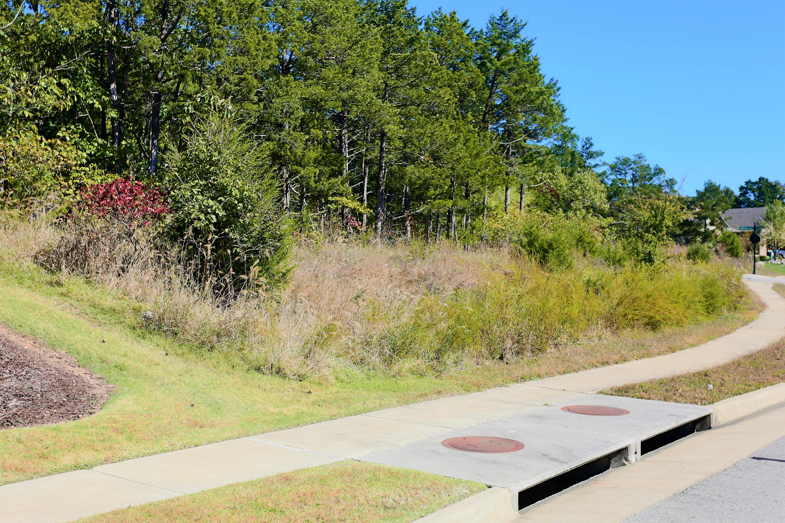 Lot 54 Bayhill Court Property Photo 1