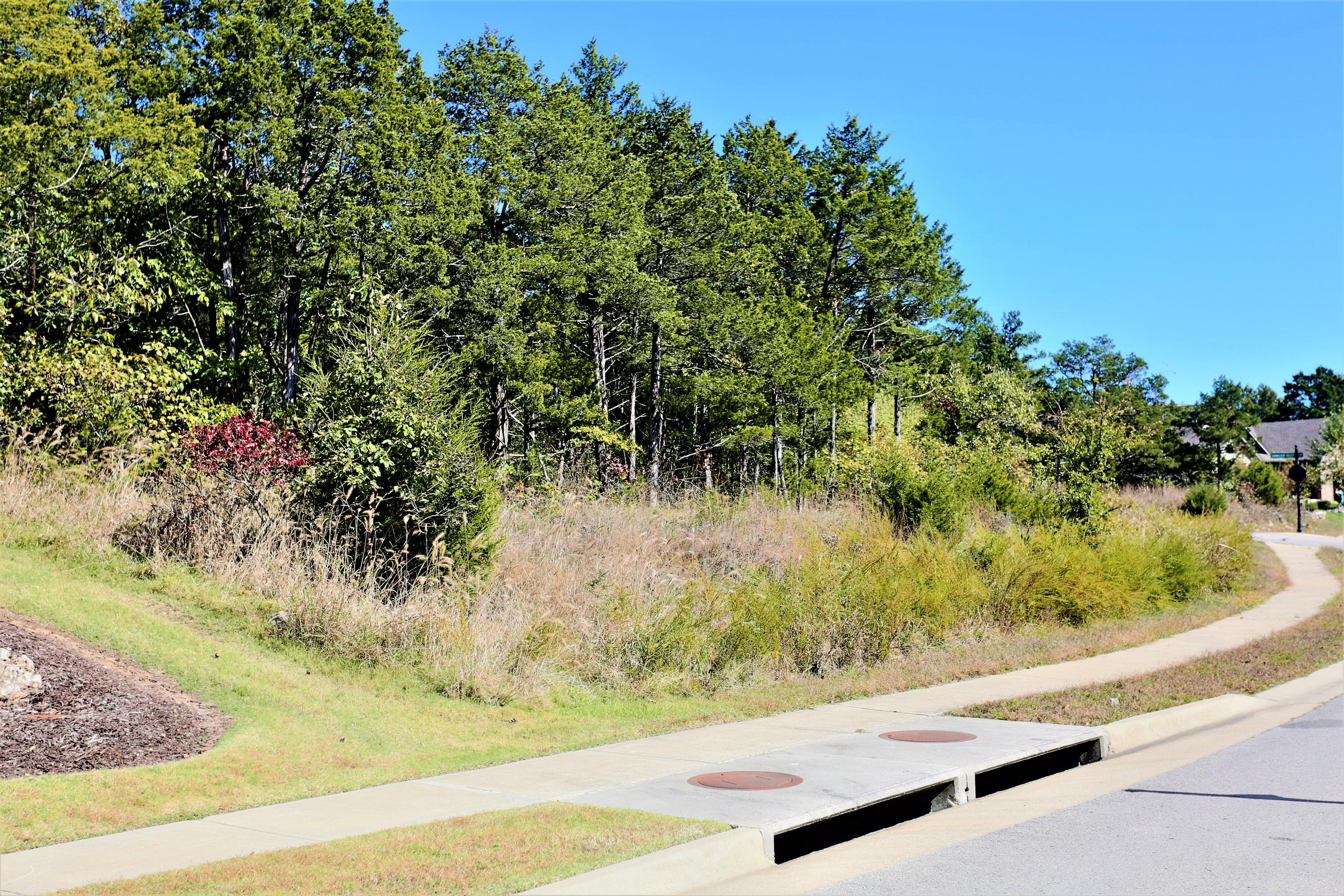 Lot 54 Bayhill Court Property Photo 1
