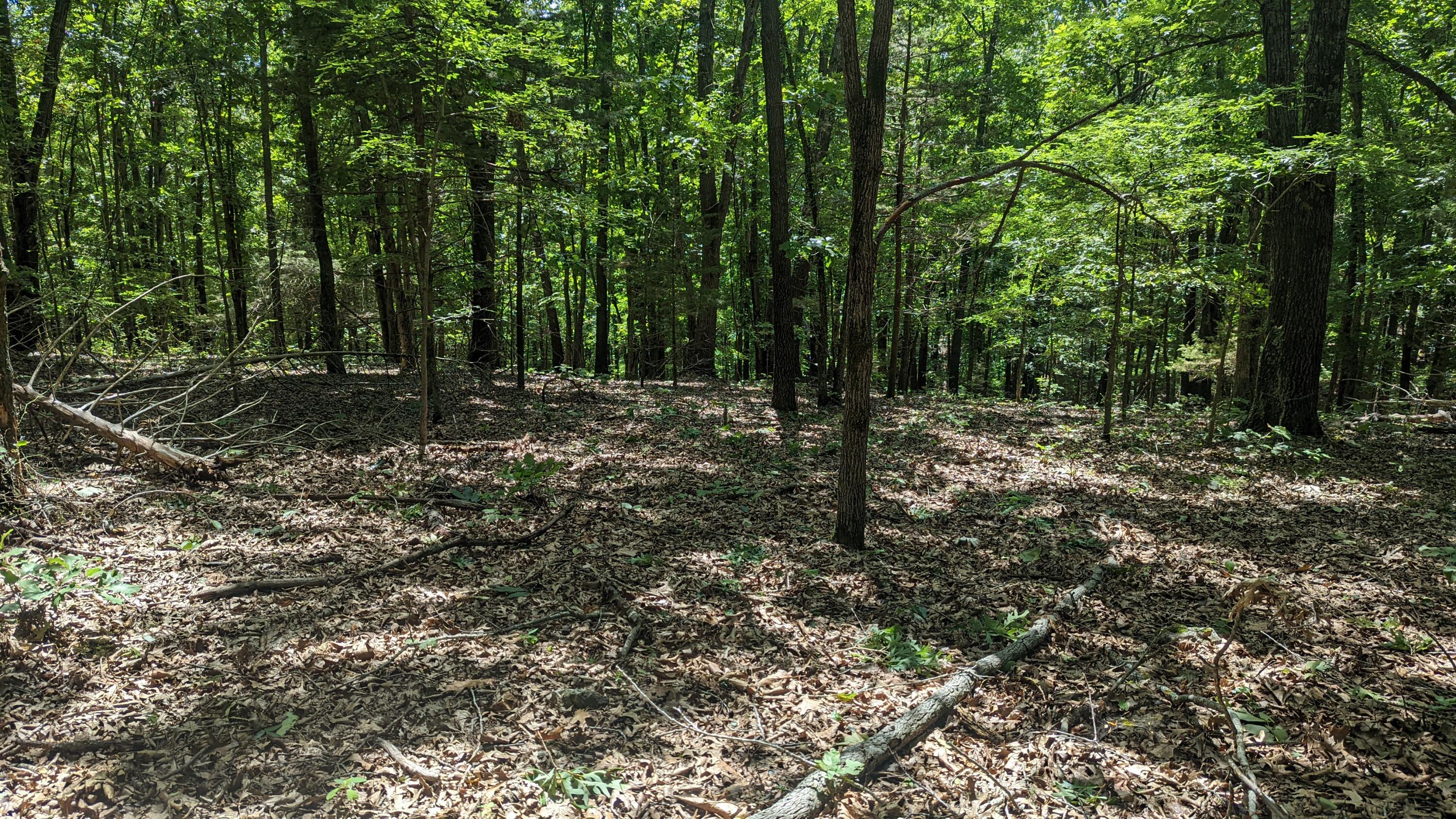 000 Lot # 94 Hwy 173 Property Photo 1