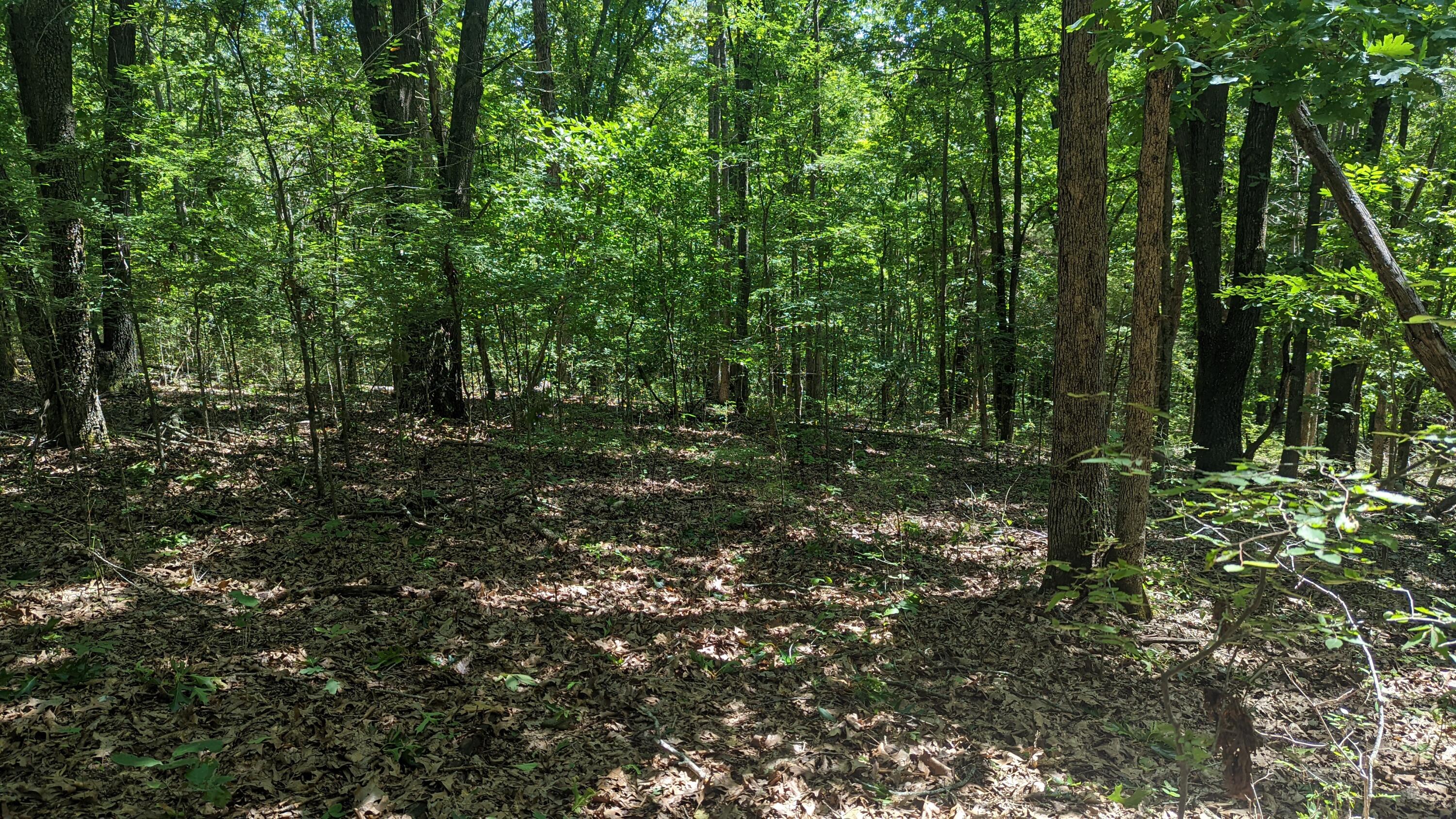 000 Lot # 94 Hwy 173 Property Photo 2