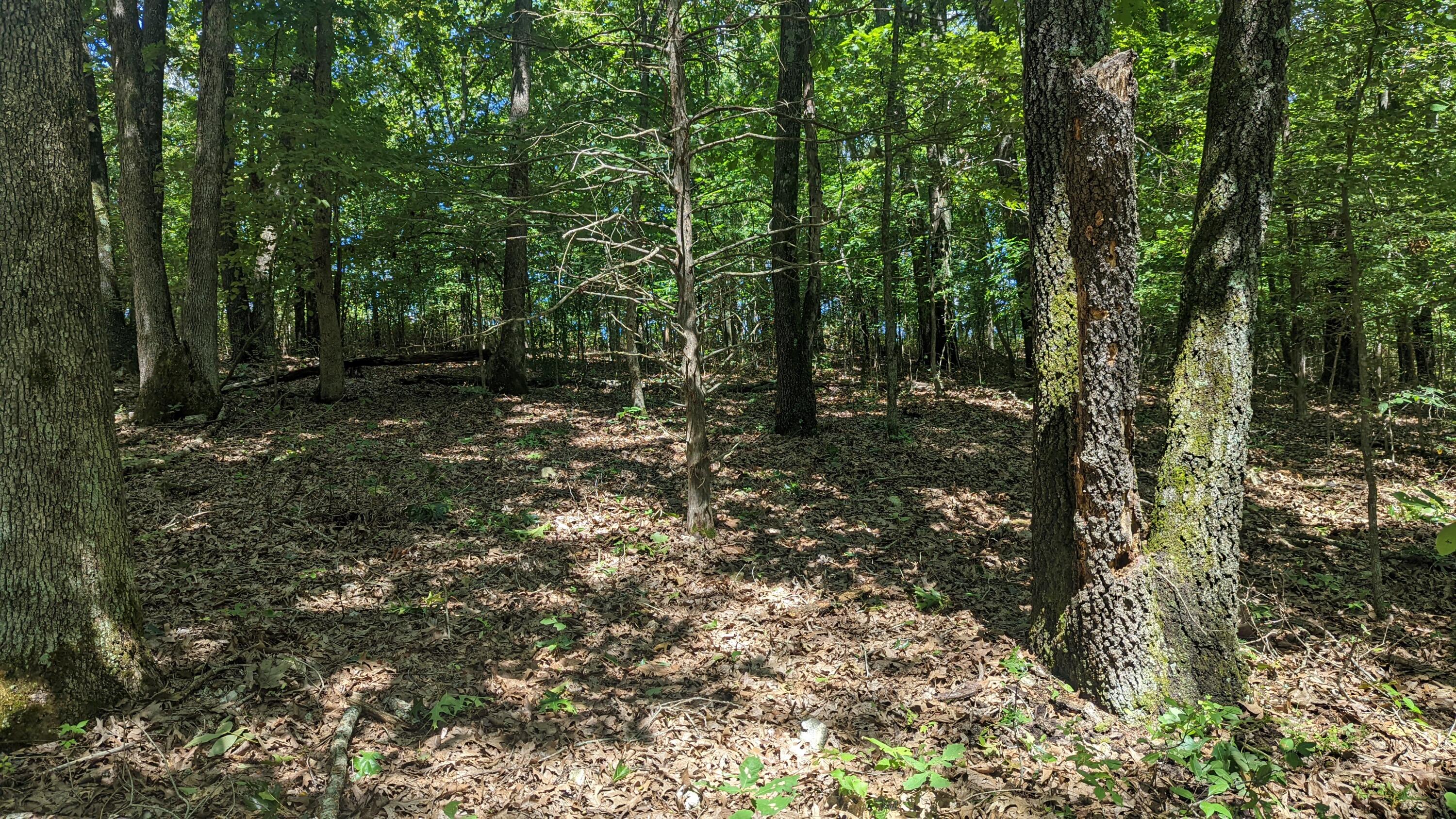 000 Lot # 94 Hwy 173 Property Photo 3