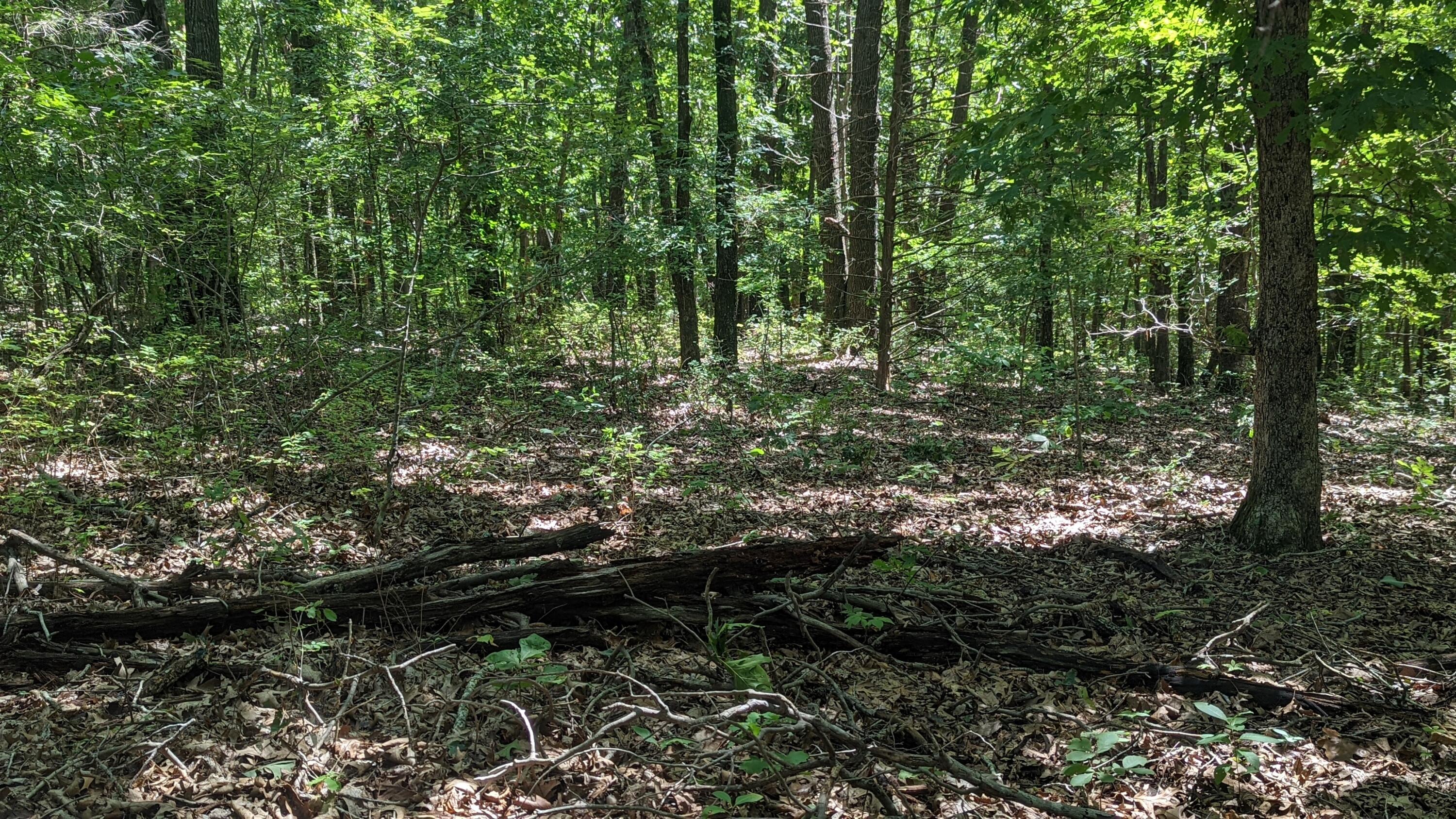 000 Lot # 94 Hwy 173 Property Photo 4