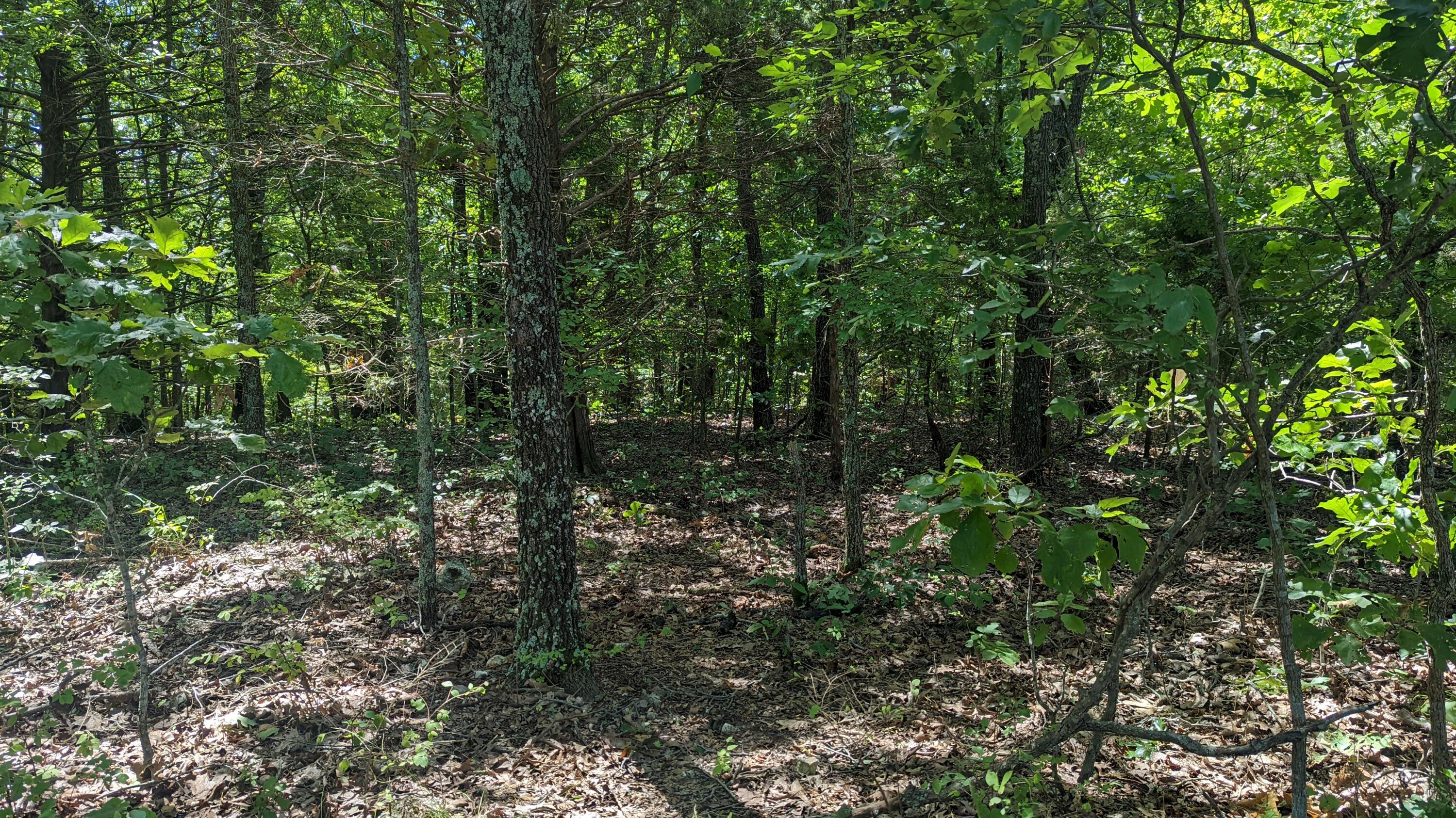 000 Lot # 94 Hwy 173 Property Photo 5