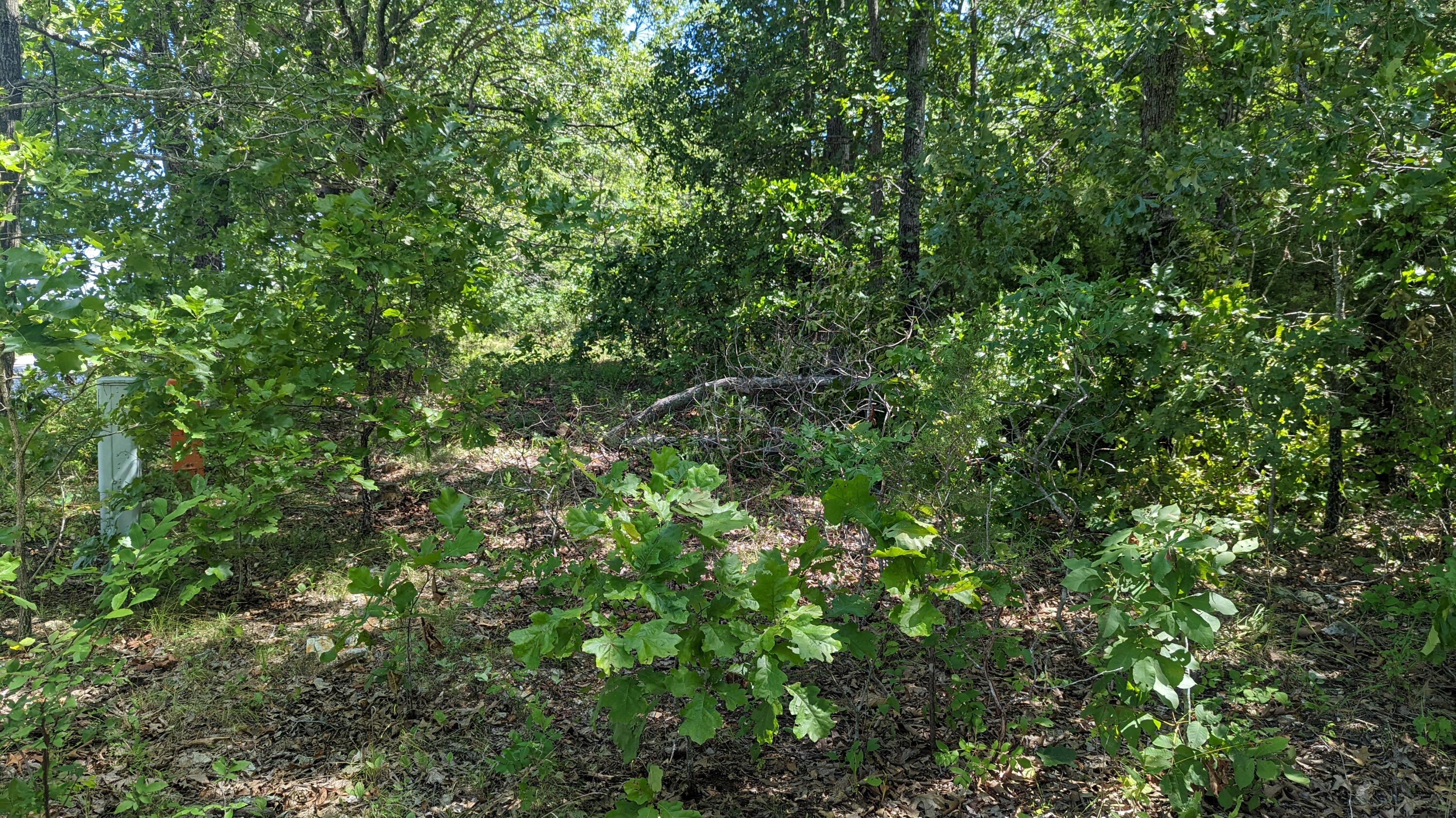 000 Lot # 94 Hwy 173 Property Photo 8
