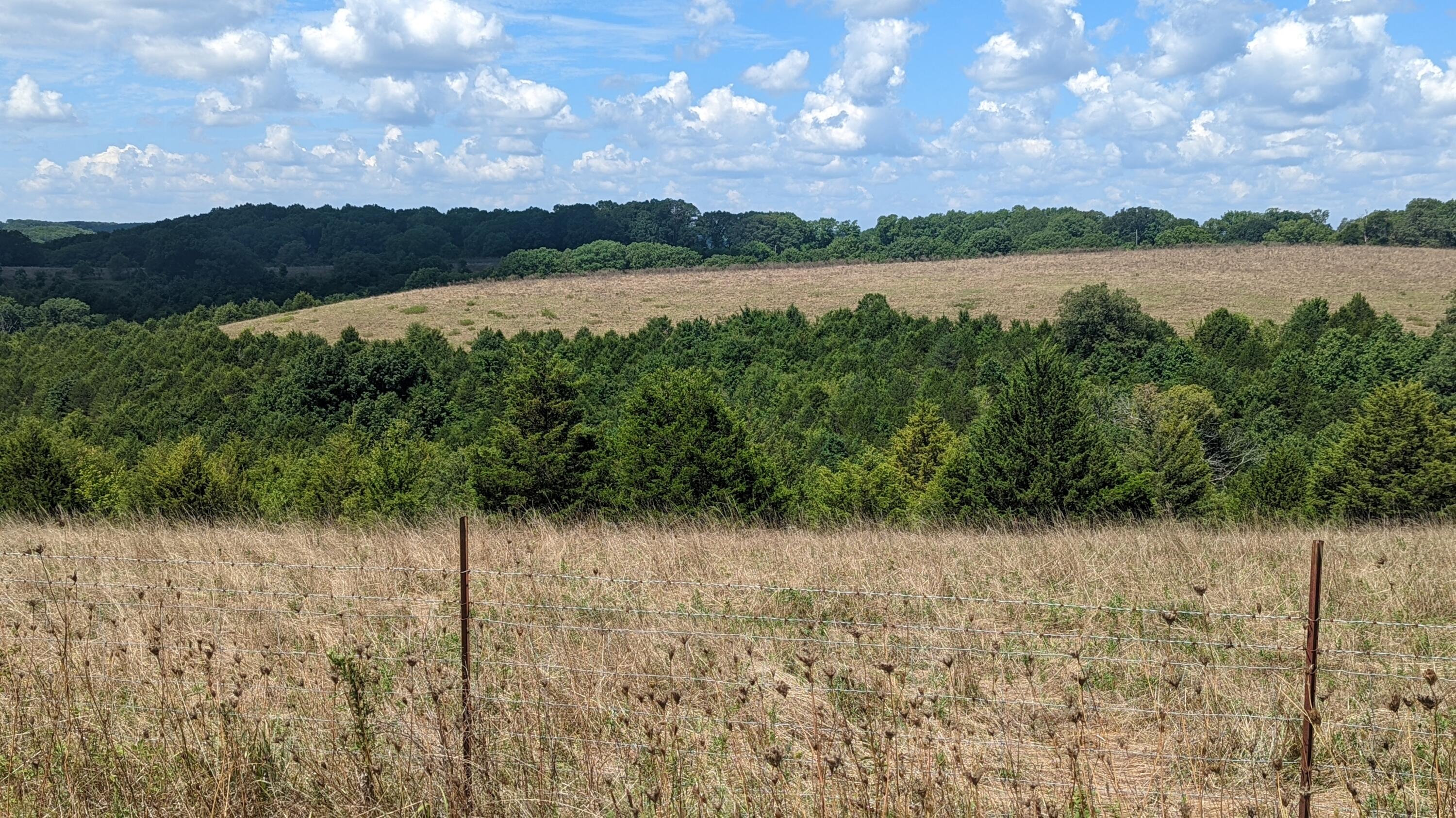 000 Lot # 94 Hwy 173 Property Photo 9