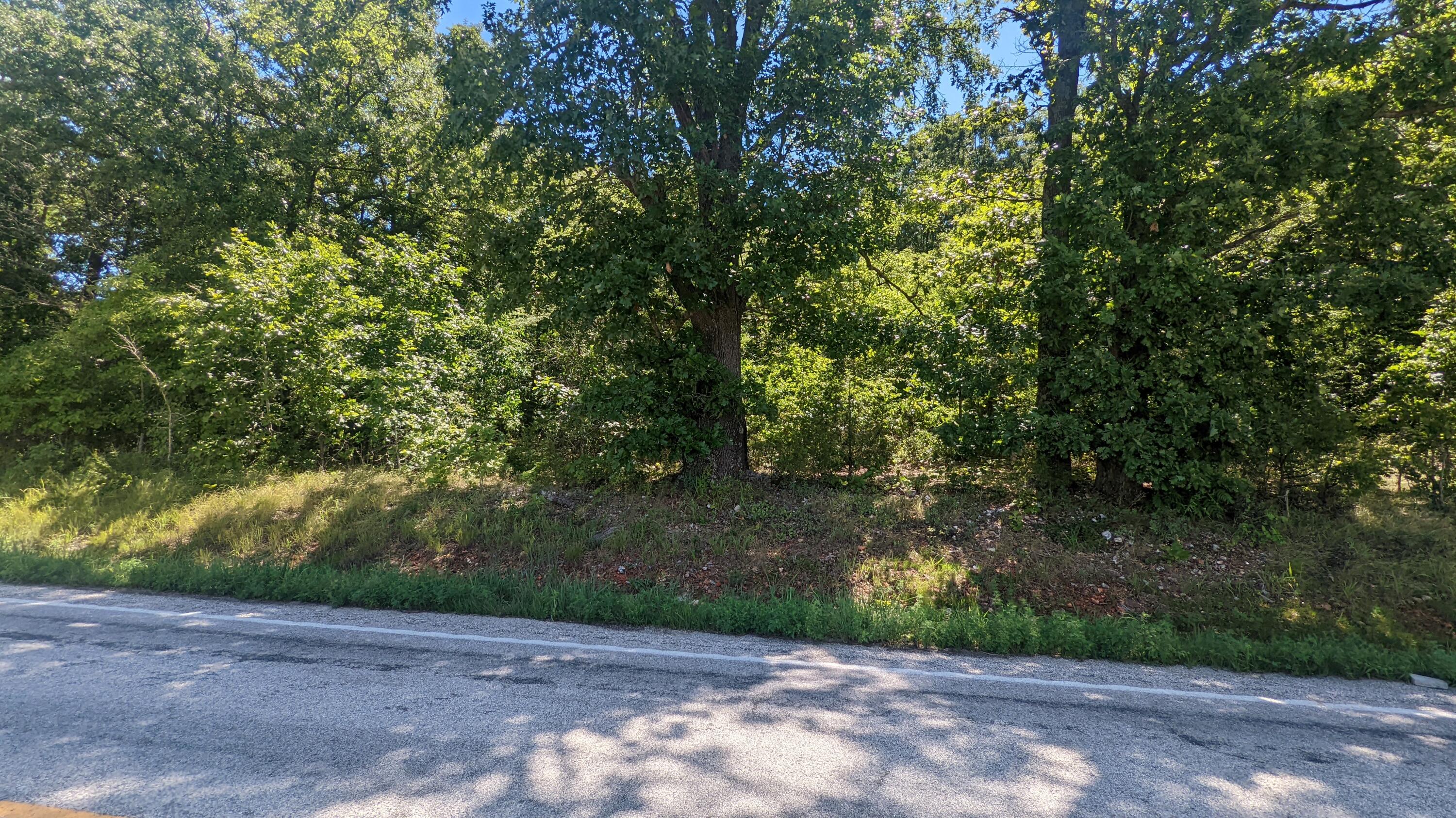 000 Lot # 94 Hwy 173 Property Photo 10