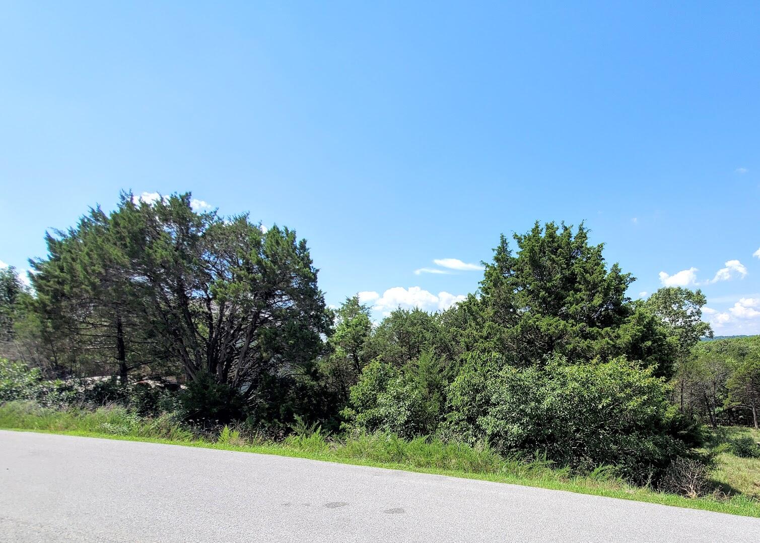 Lot 182 Silver Sunset Ln Property Photo 3