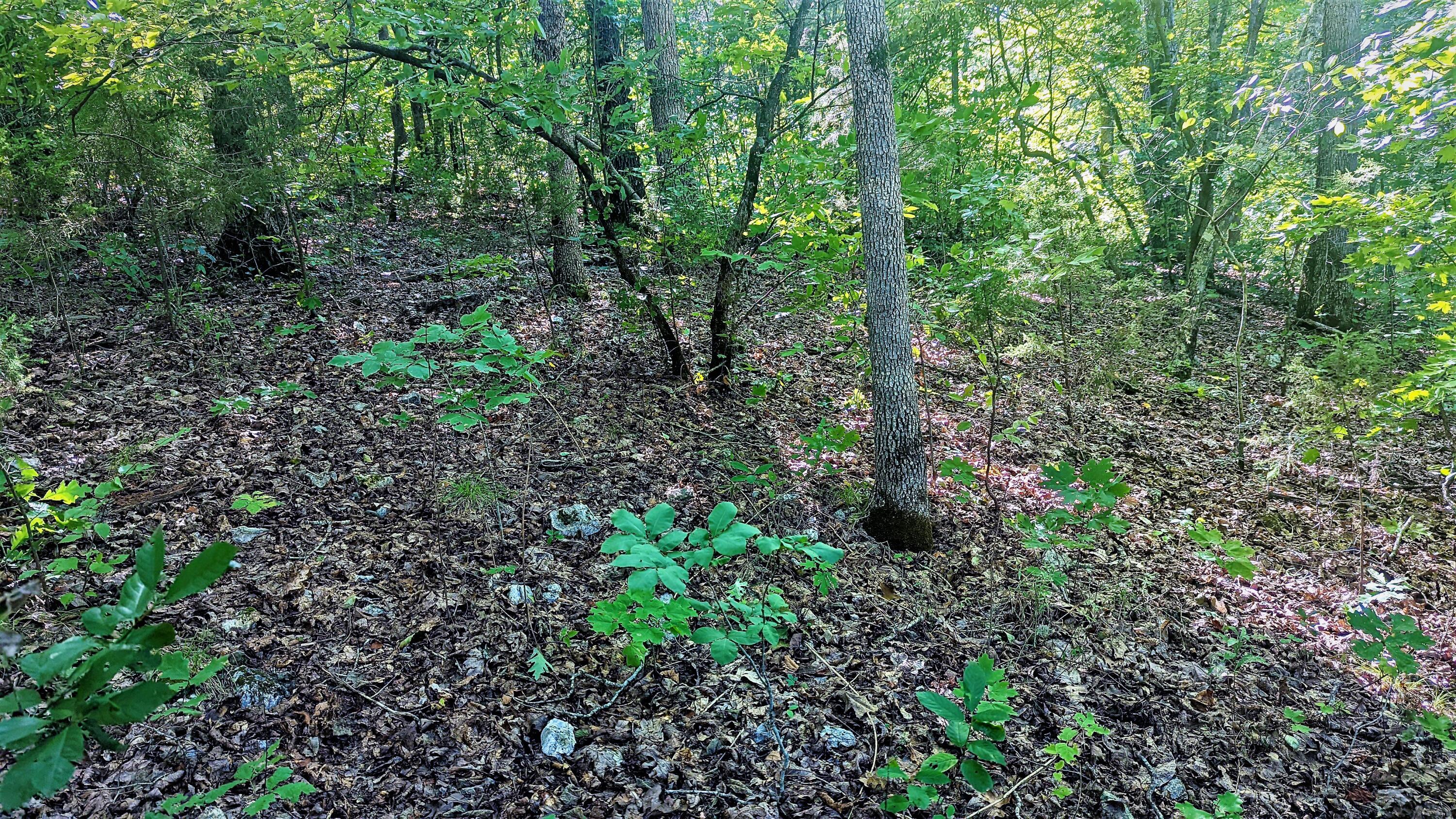Lot 5 Silvercliff Way Property Photo
