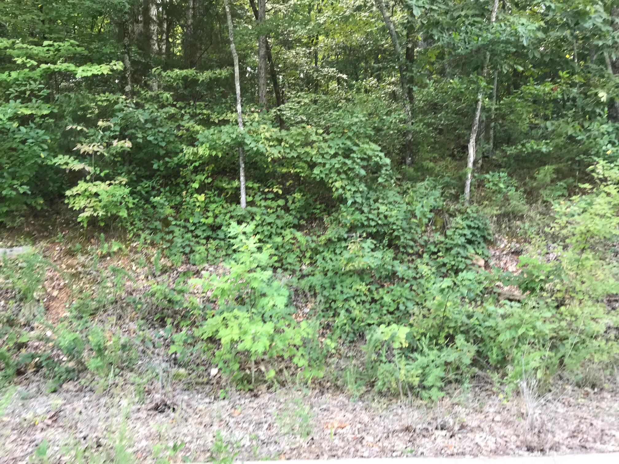 Lot 107 Crescent Drive Property Photo 1