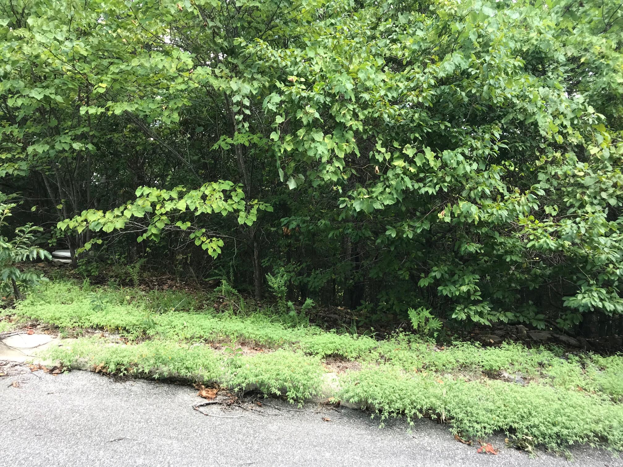 Lot 256 Skylee Drive Property Photo 1