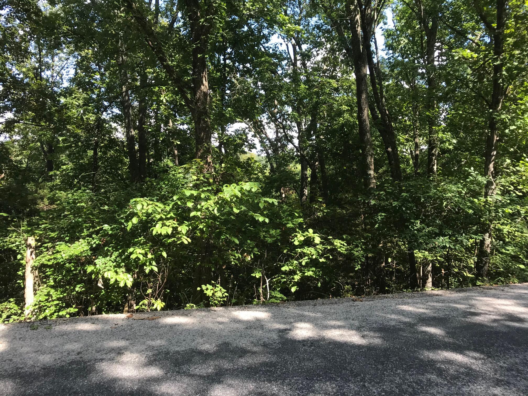 Lot 227 Syler Circle Property Photo 1