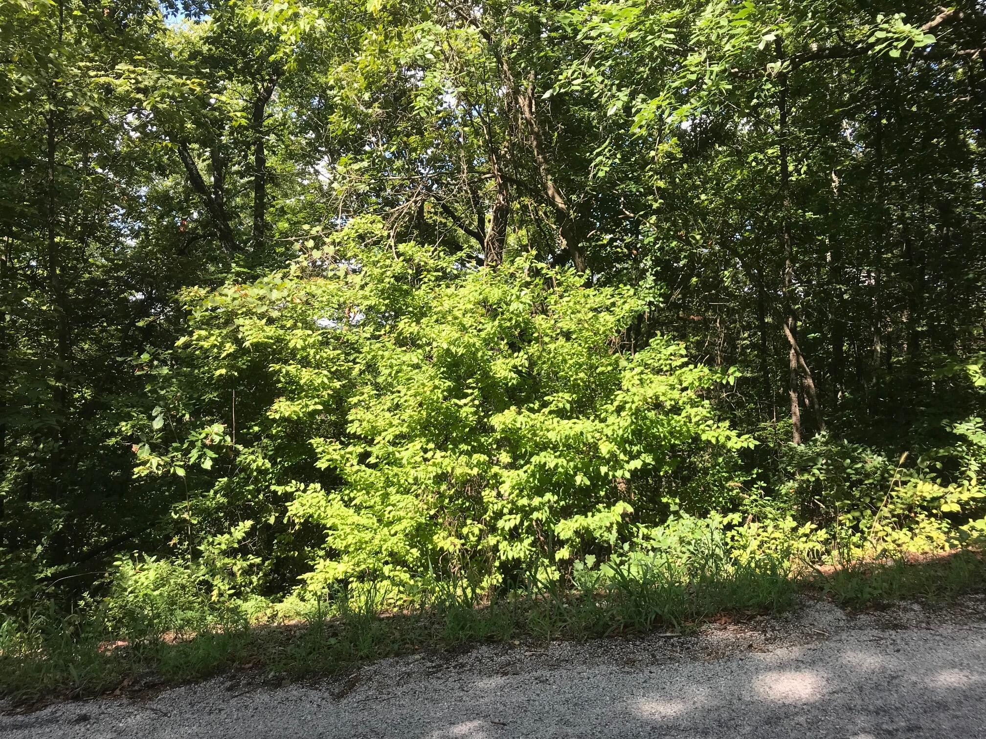 Lot 255 Sharay Circle Property Photo 1