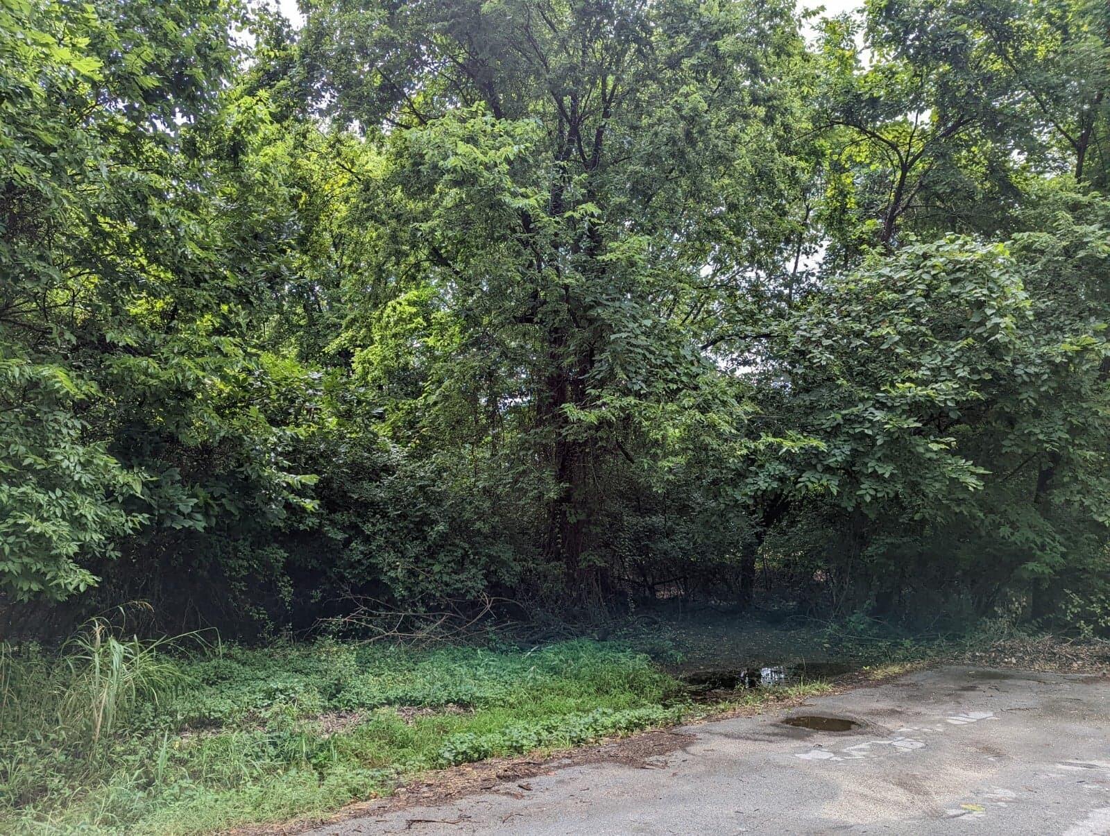 Lot 6 North Farm Rd 139 Property Photo 2